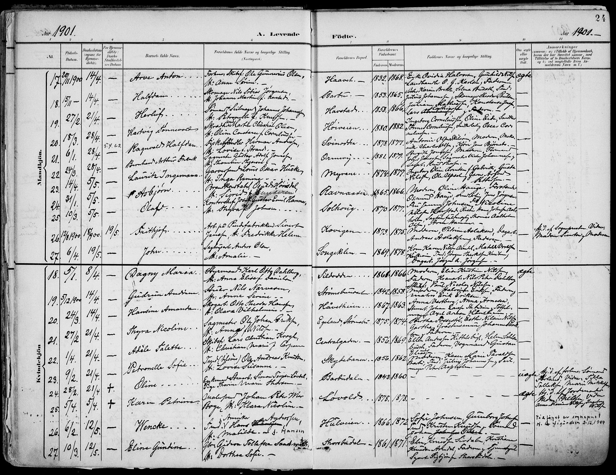 Barbu sokneprestkontor, AV/SAK-1111-0003/F/Fa/L0005: Parish register (official) no. A 5, 1899-1909, p. 24