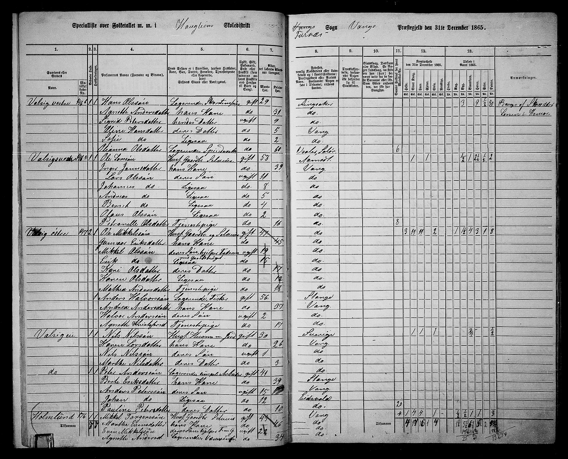 RA, 1865 census for Vang/Vang og Furnes, 1865, p. 156