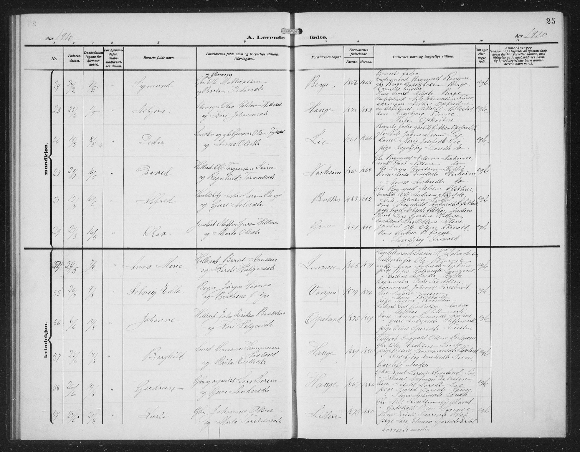 Voss sokneprestembete, AV/SAB-A-79001/H/Hab: Parish register (copy) no. C 3, 1909-1920, p. 25