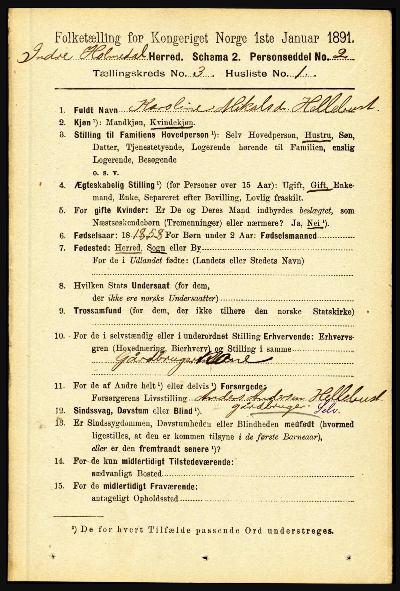 RA, 1891 census for 1430 Indre Holmedal, 1891, p. 896