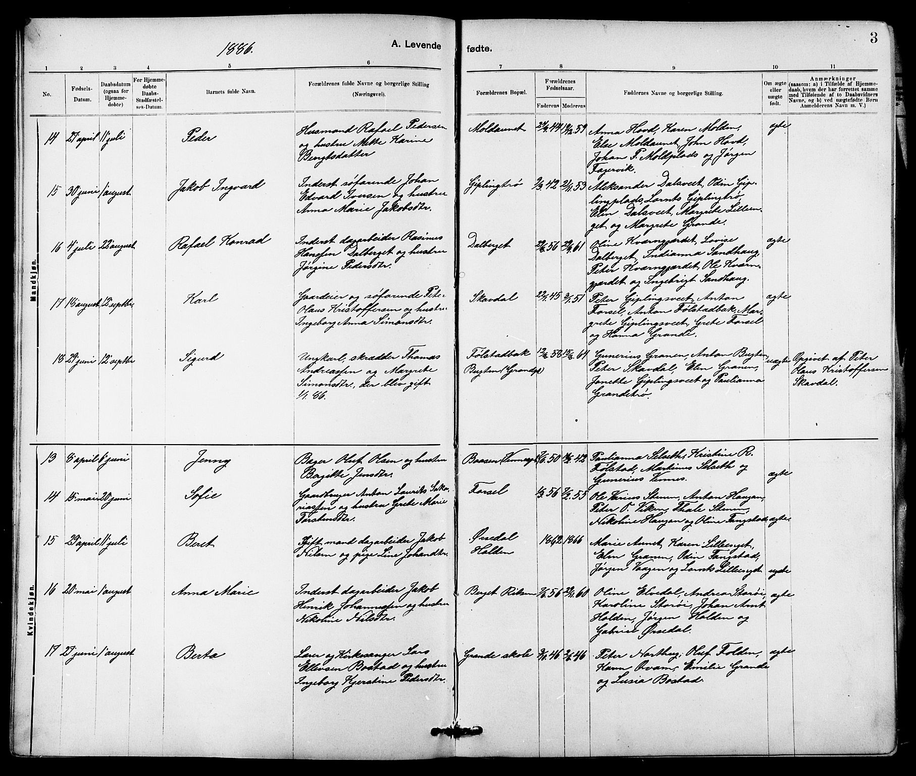 Ministerialprotokoller, klokkerbøker og fødselsregistre - Nord-Trøndelag, AV/SAT-A-1458/744/L0423: Parish register (copy) no. 744C02, 1886-1905, p. 3