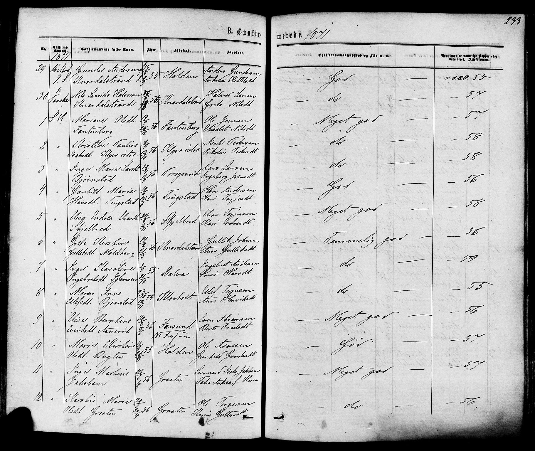 Solum kirkebøker, SAKO/A-306/F/Fa/L0008: Parish register (official) no. I 8, 1865-1876, p. 233