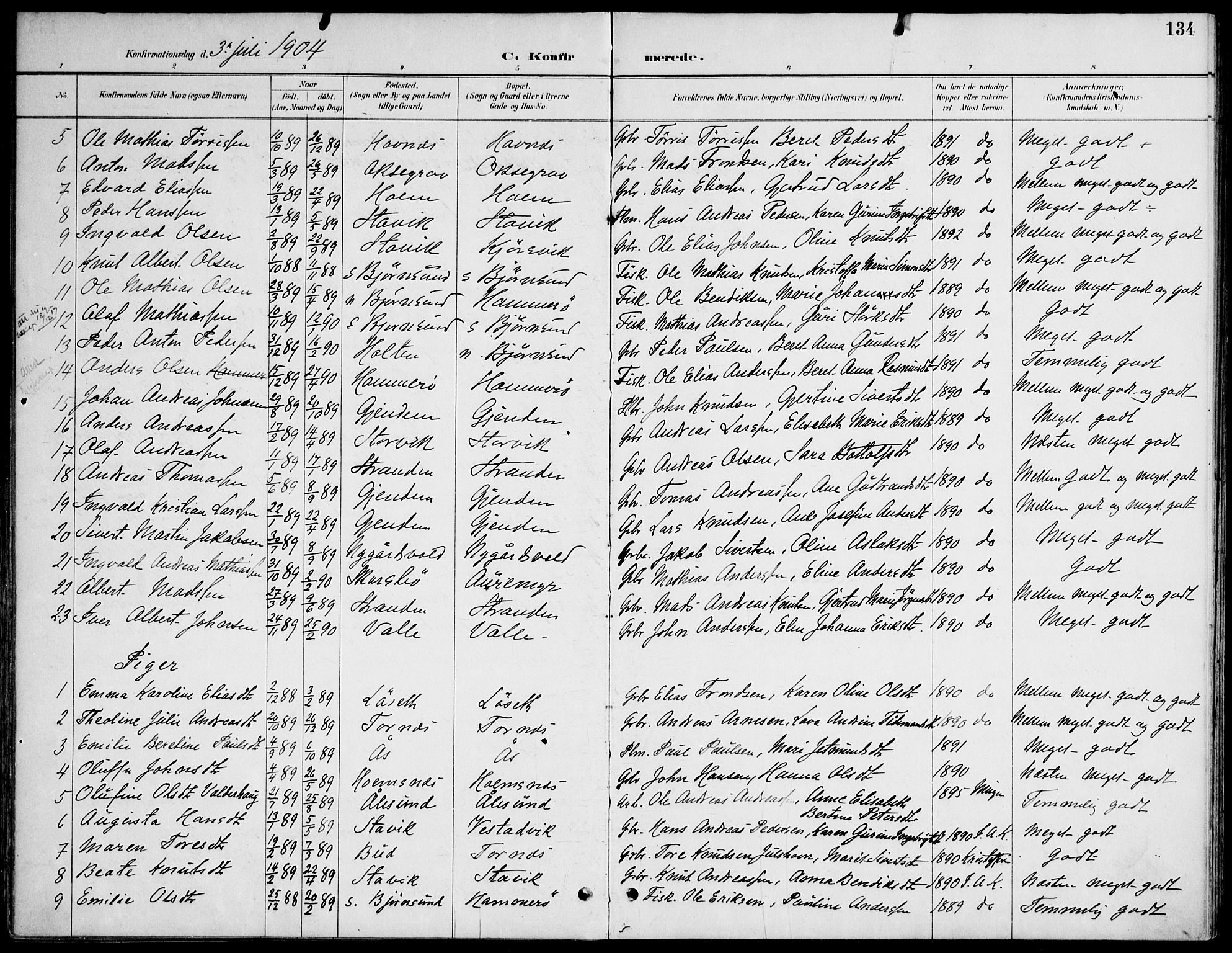 Ministerialprotokoller, klokkerbøker og fødselsregistre - Møre og Romsdal, AV/SAT-A-1454/565/L0750: Parish register (official) no. 565A04, 1887-1905, p. 134