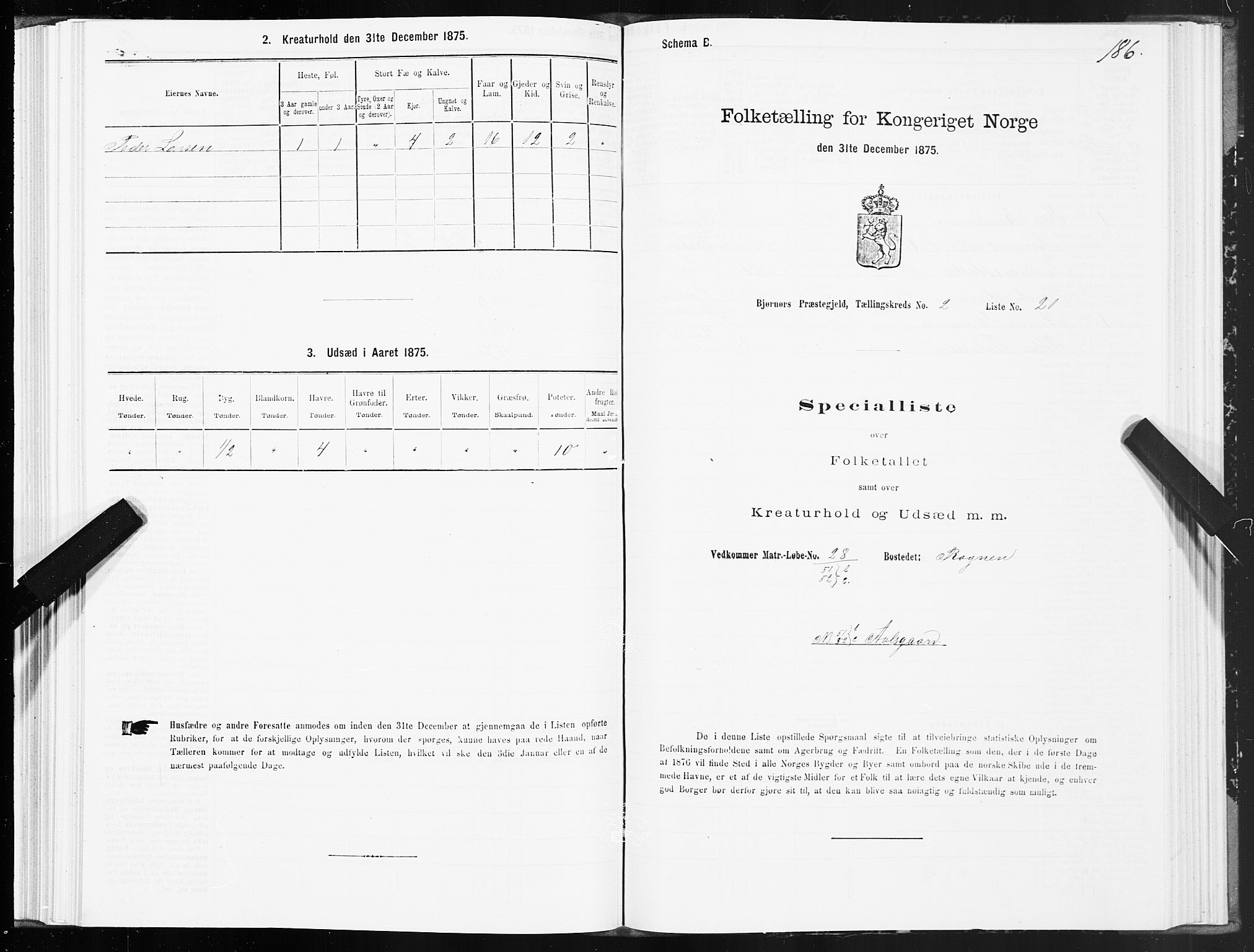 SAT, 1875 census for 1632P Bjørnør, 1875, p. 1186