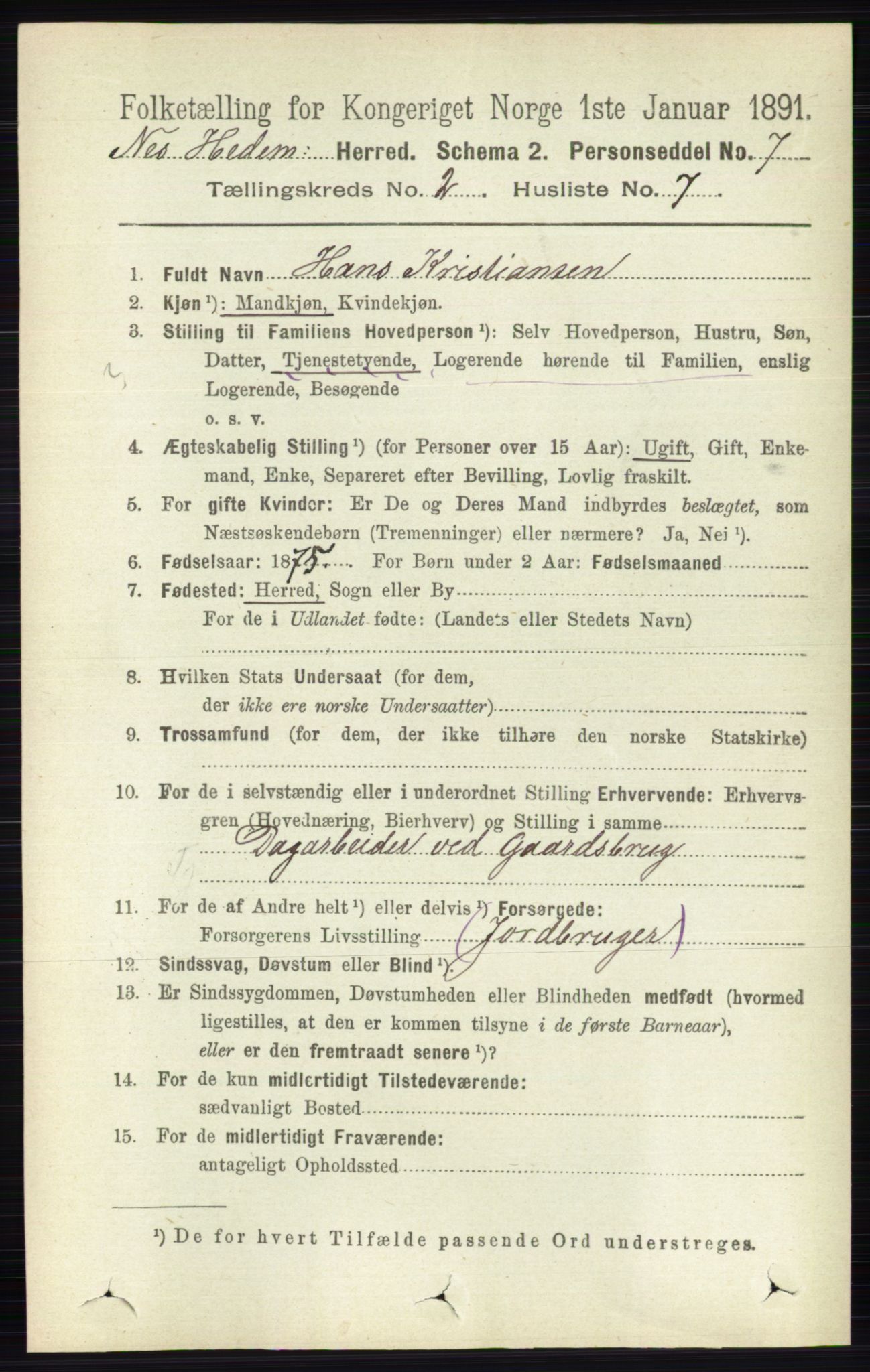 RA, 1891 census for 0411 Nes, 1891, p. 1115