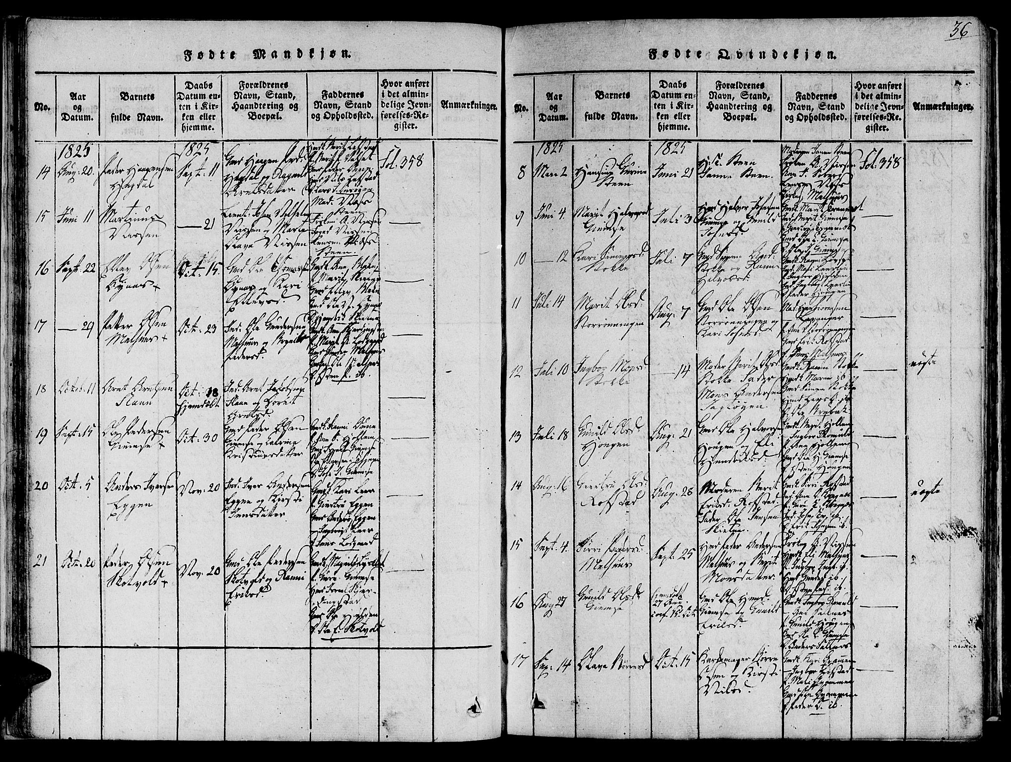 Ministerialprotokoller, klokkerbøker og fødselsregistre - Sør-Trøndelag, SAT/A-1456/691/L1065: Parish register (official) no. 691A03 /1, 1816-1826, p. 36