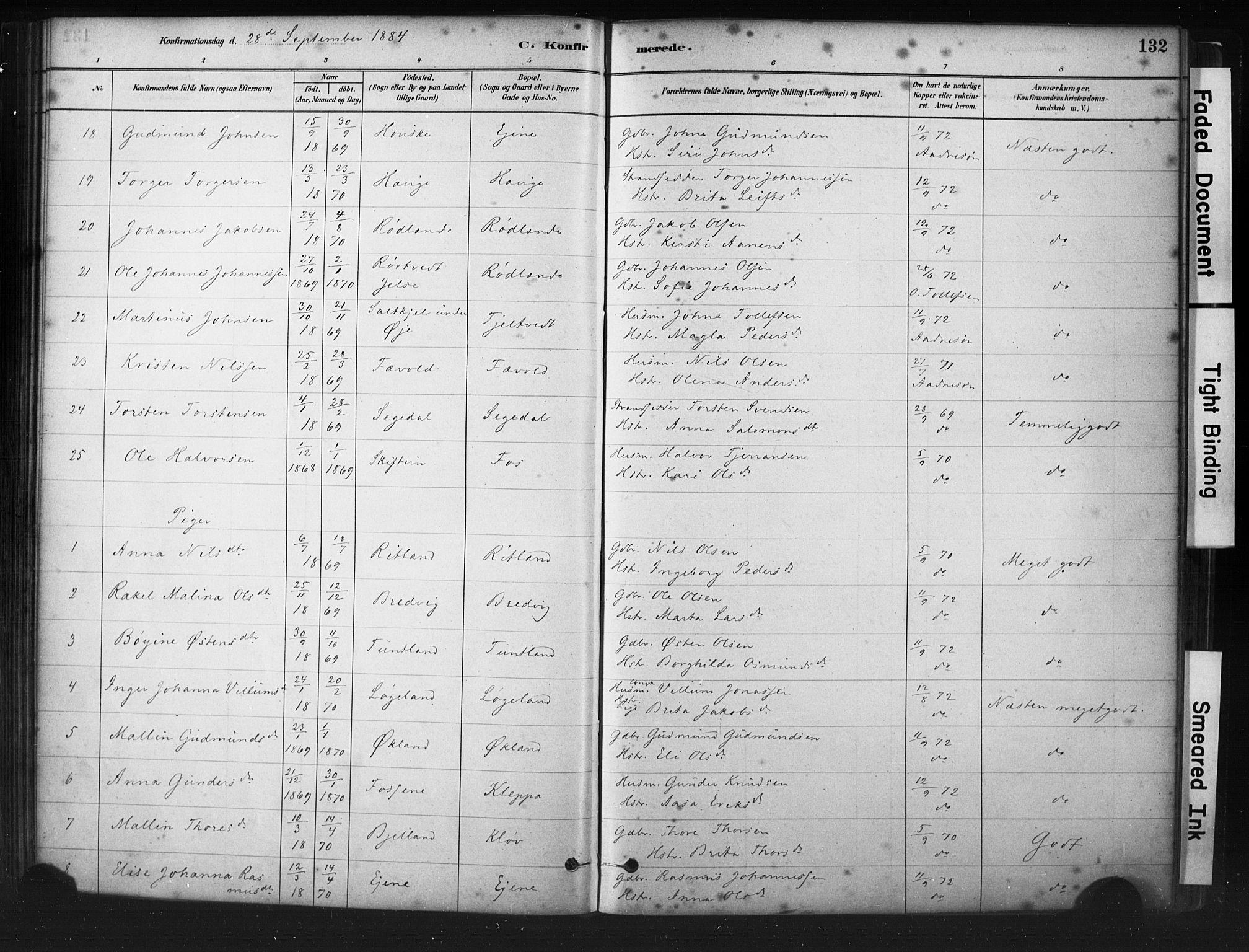 Hjelmeland sokneprestkontor, SAST/A-101843/01/IV/L0014: Parish register (official) no. A 14, 1879-1900, p. 132