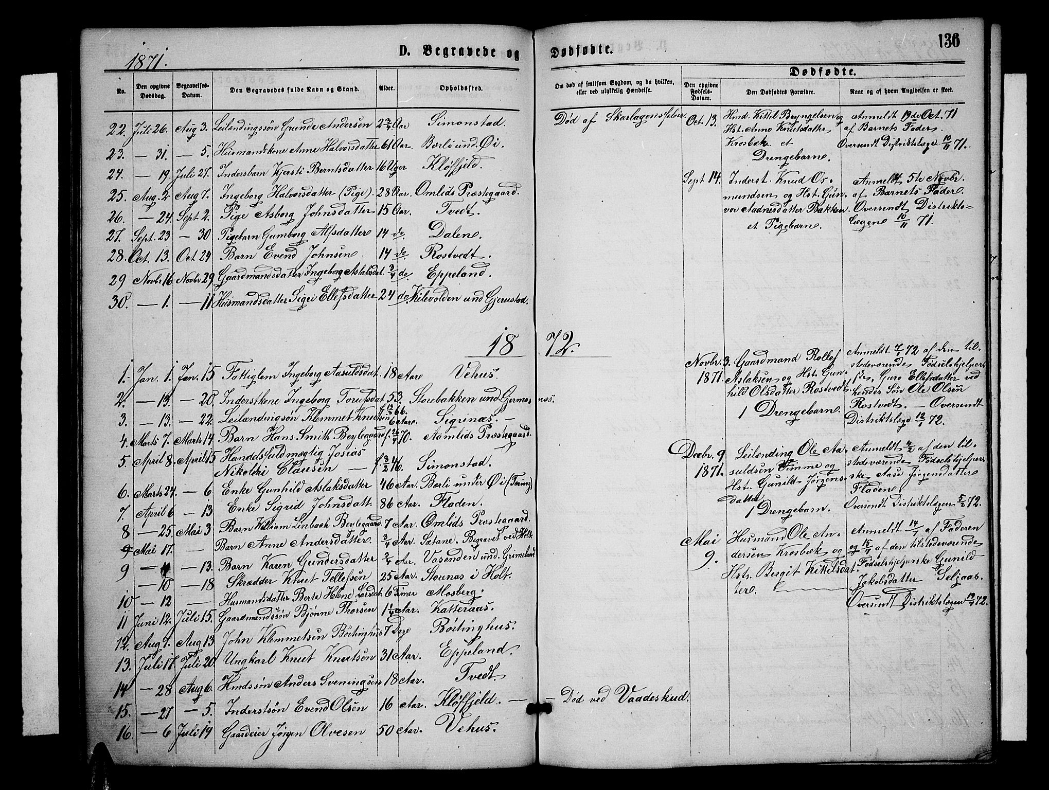 Åmli sokneprestkontor, SAK/1111-0050/F/Fb/Fbc/L0003: Parish register (copy) no. B 3, 1868-1888, p. 136