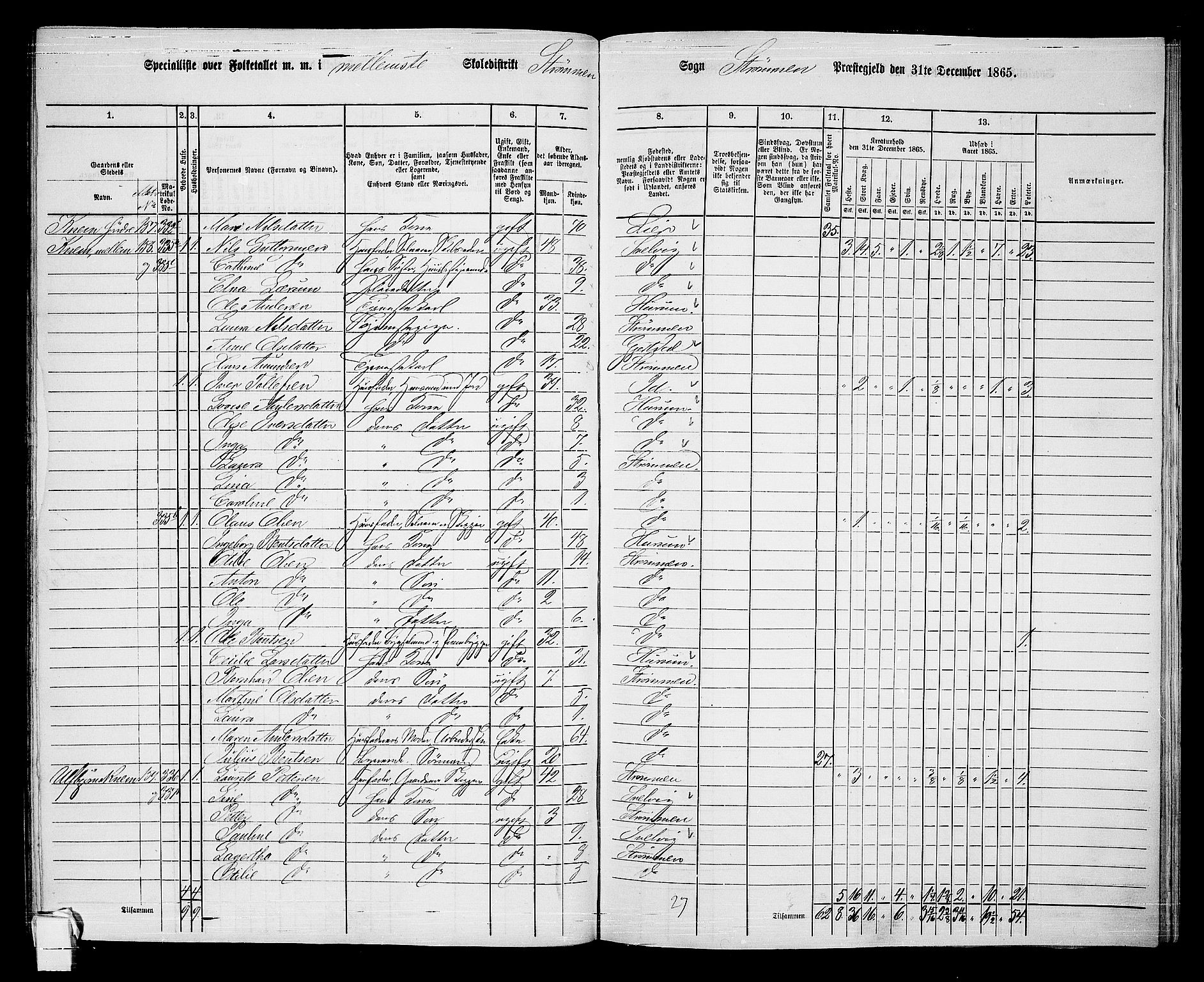 RA, 1865 census for Strømm, 1865, p. 18