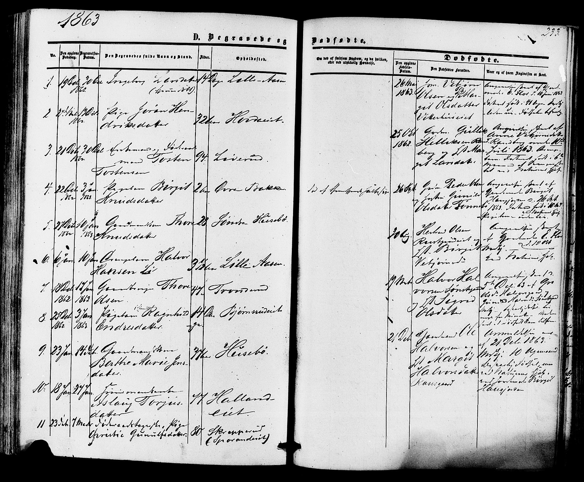 Nore kirkebøker, SAKO/A-238/F/Fa/L0003: Parish register (official) no. I 3, 1858-1866, p. 233