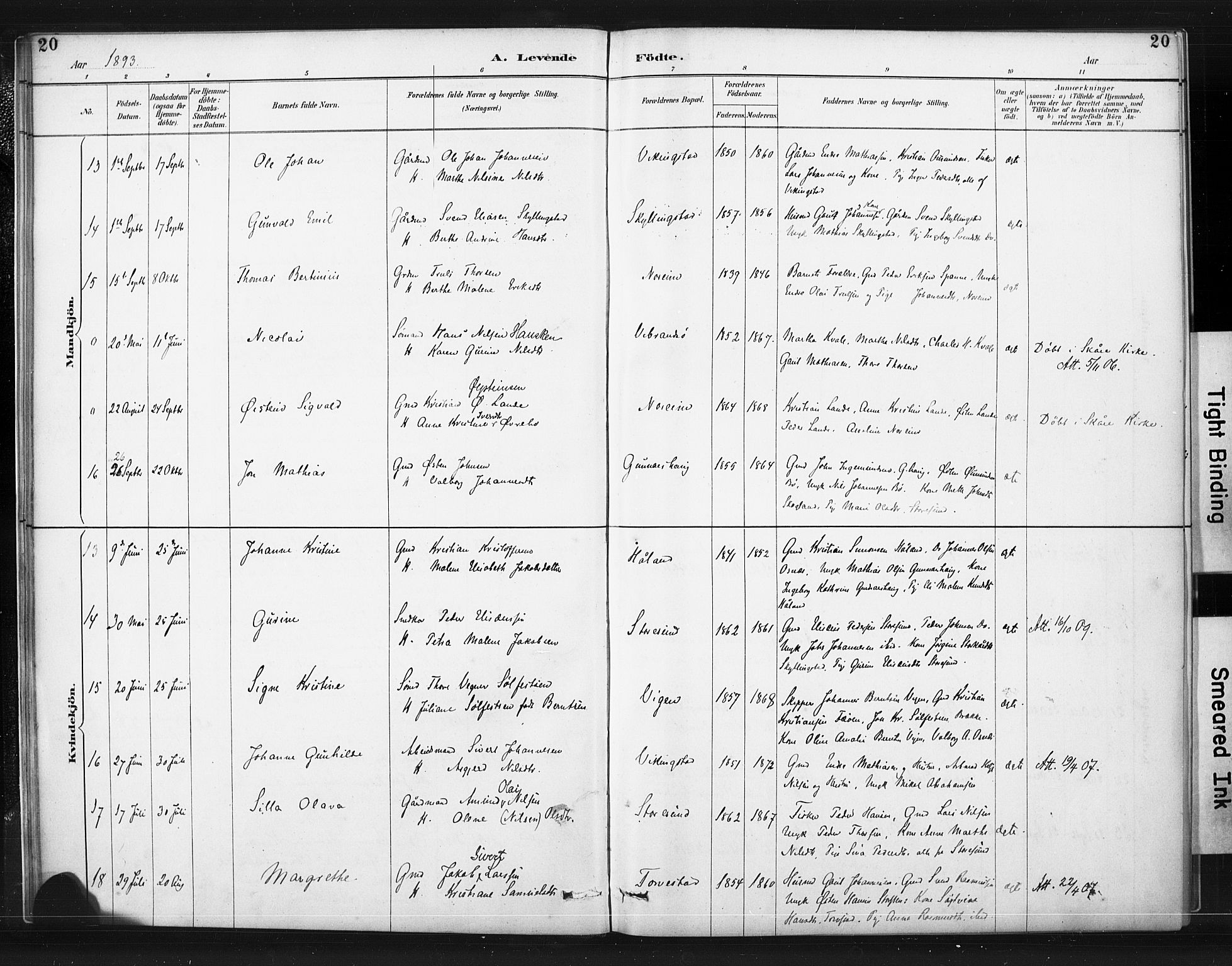 Torvastad sokneprestkontor, SAST/A -101857/H/Ha/Haa/L0015: Parish register (official) no. A 14, 1888-1899, p. 20