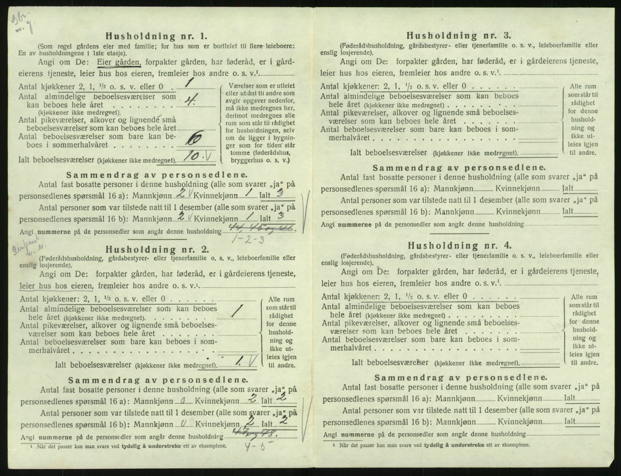SAK, 1920 census for Hornnes, 1920, p. 222