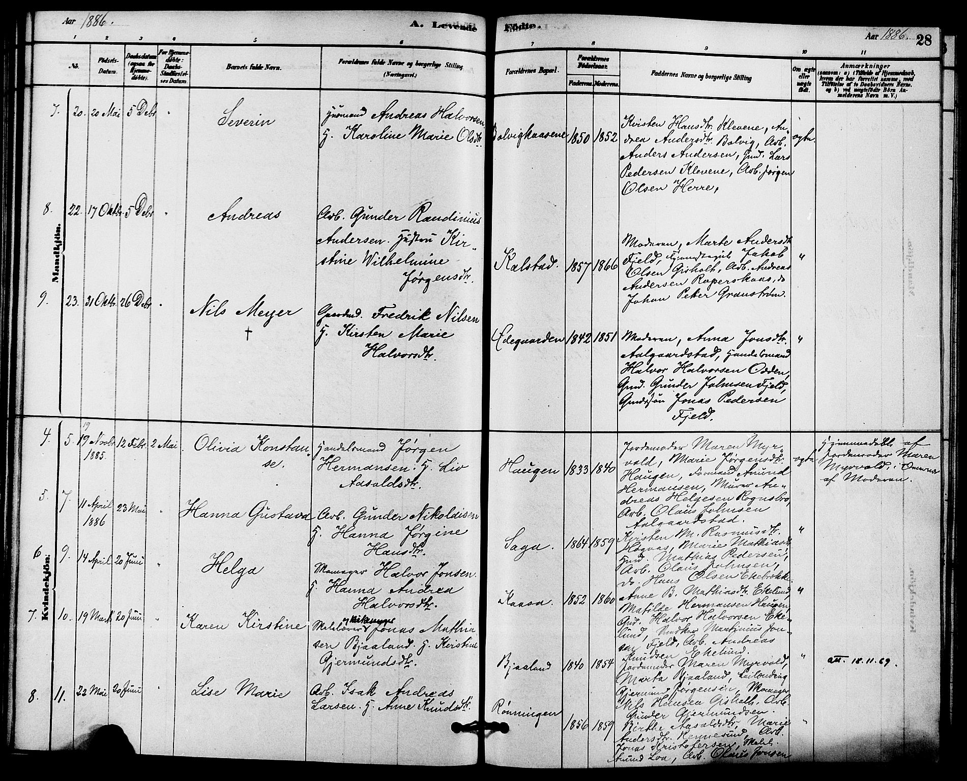 Solum kirkebøker, SAKO/A-306/F/Fc/L0001: Parish register (official) no. III 1, 1877-1891, p. 28