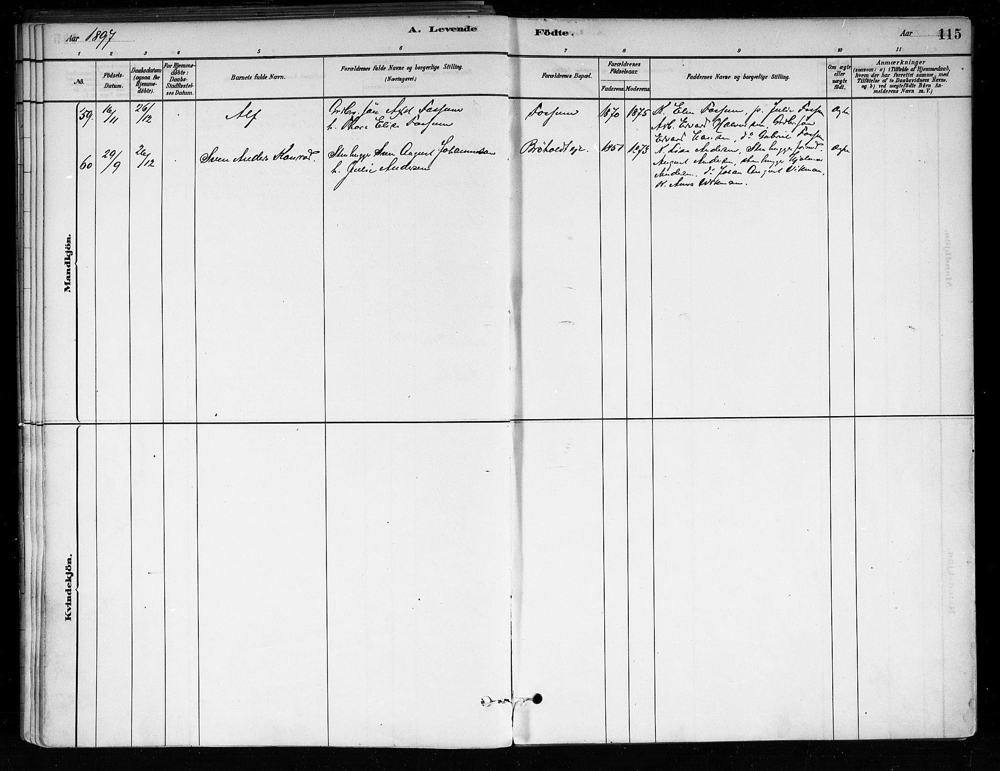 Røyken kirkebøker, AV/SAKO-A-241/F/Fa/L0008: Parish register (official) no. 8, 1880-1897, p. 115