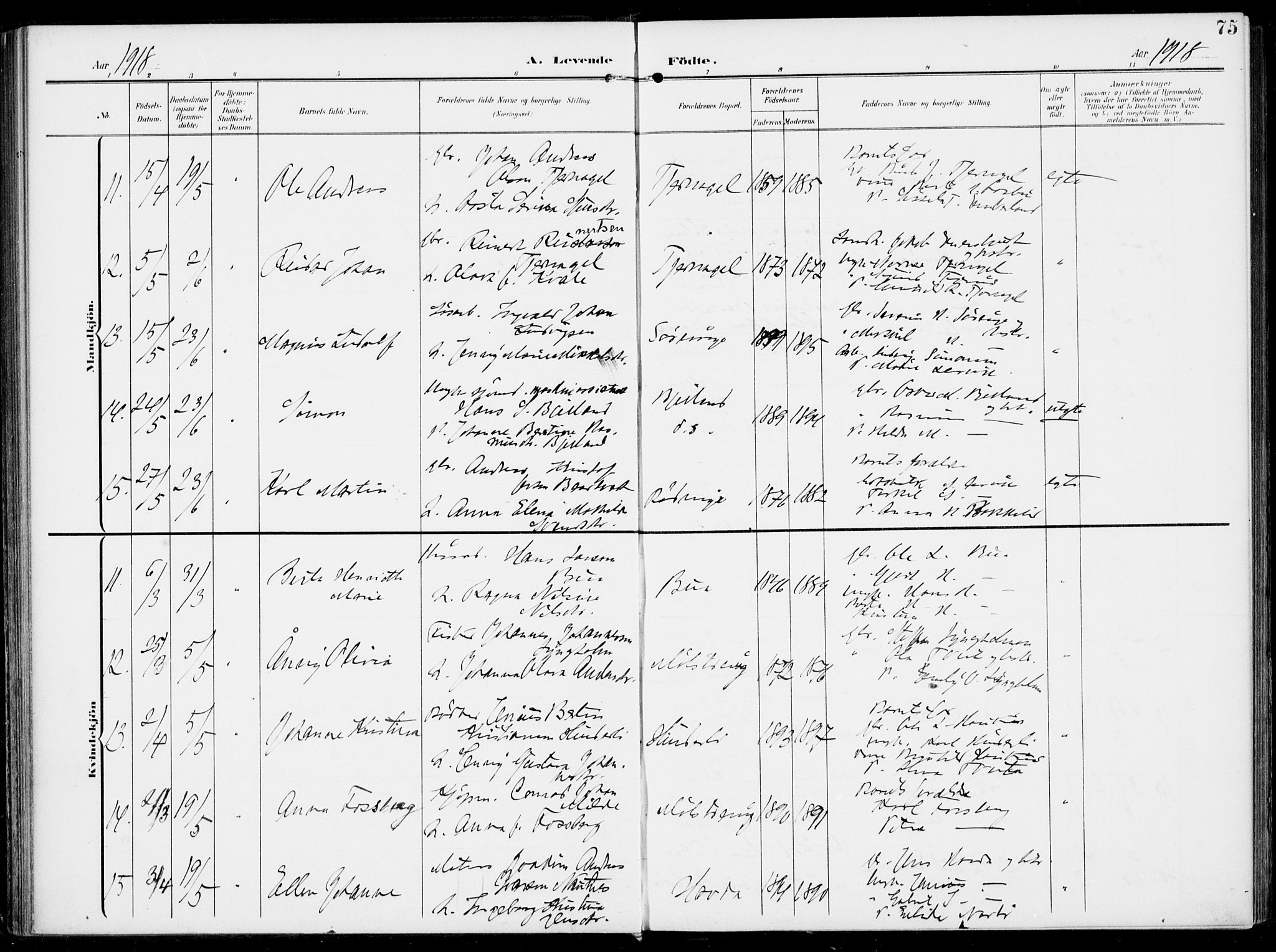 Sveio Sokneprestembete, AV/SAB-A-78501/H/Haa: Parish register (official) no. B  4, 1906-1919, p. 75