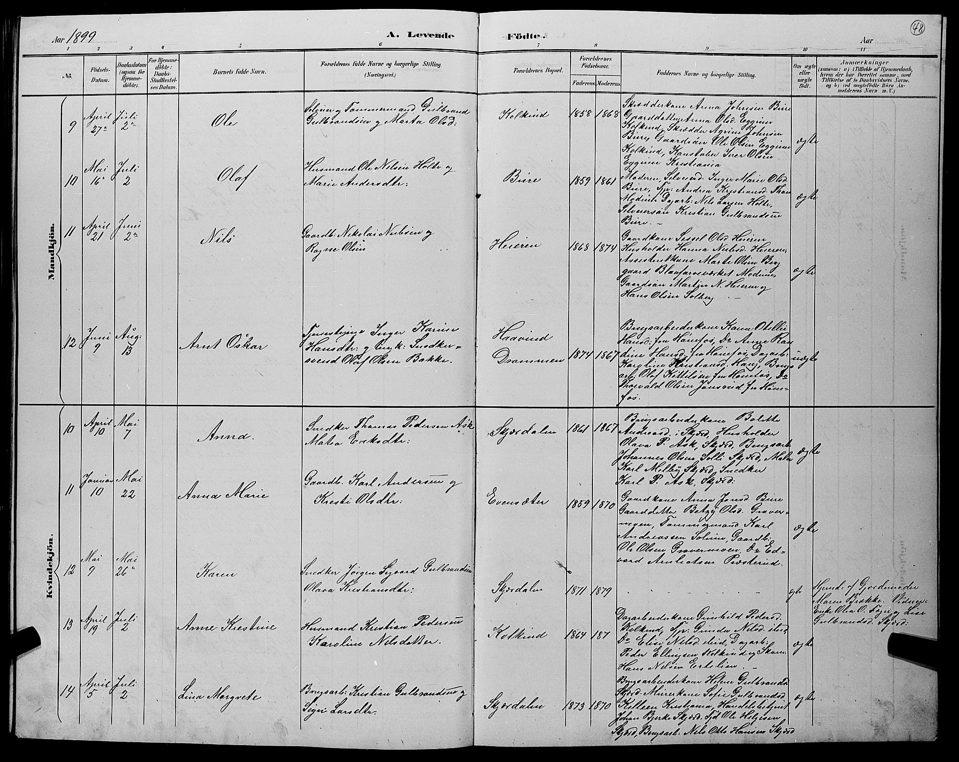 Hole kirkebøker, SAKO/A-228/G/Gb/L0003: Parish register (copy) no. II 3, 1890-1901, p. 48