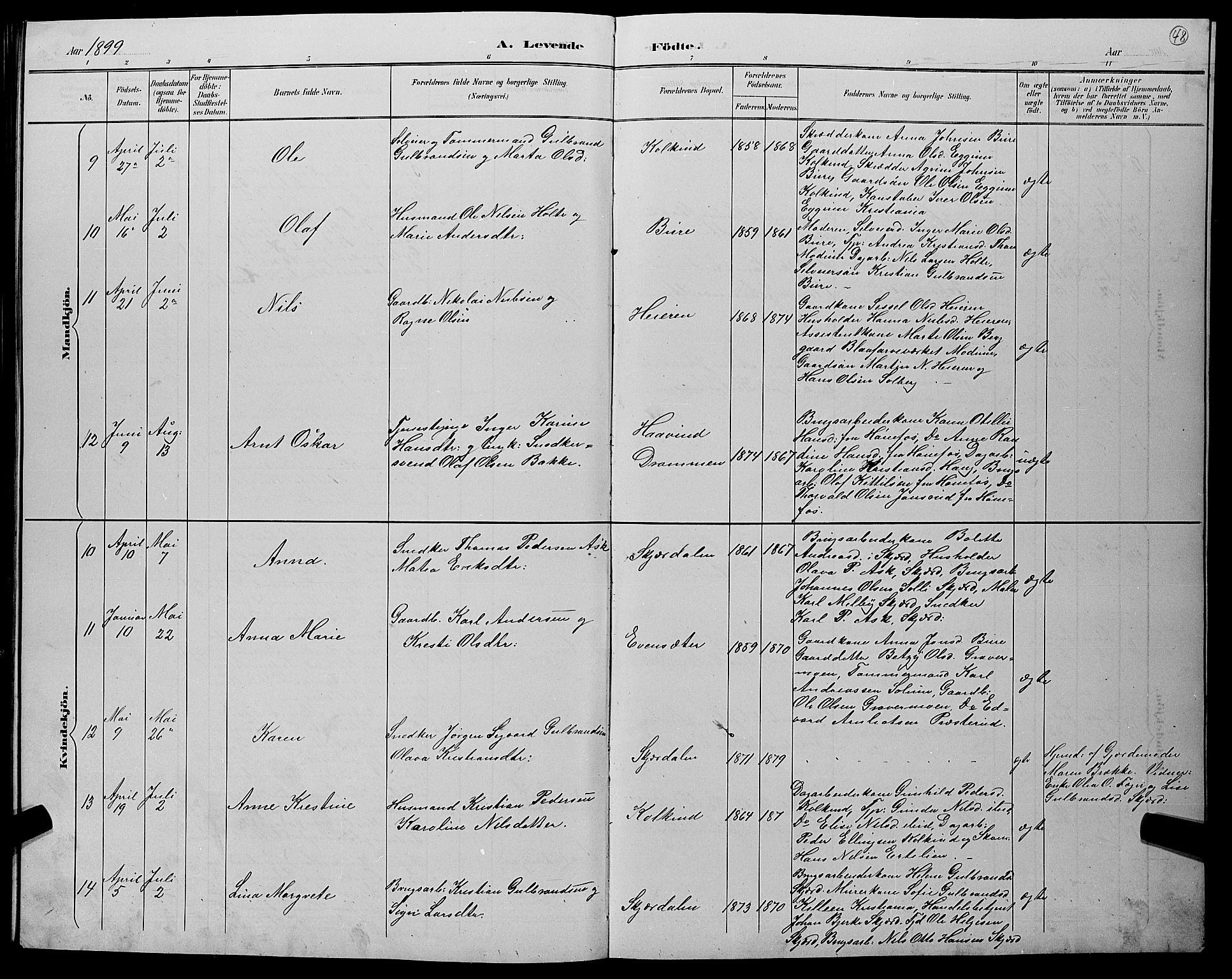 Hole kirkebøker, AV/SAKO-A-228/G/Gb/L0003: Parish register (copy) no. II 3, 1890-1901, p. 48