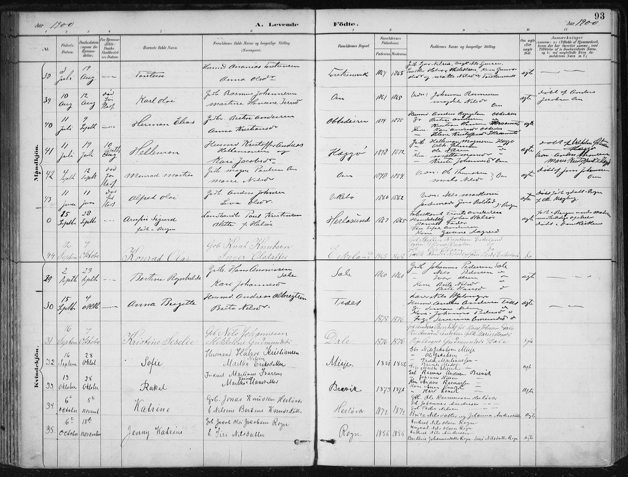 Herdla Sokneprestembete, SAB/A-75701/H/Haa: Parish register (official) no. A 4, 1891-1905, p. 93