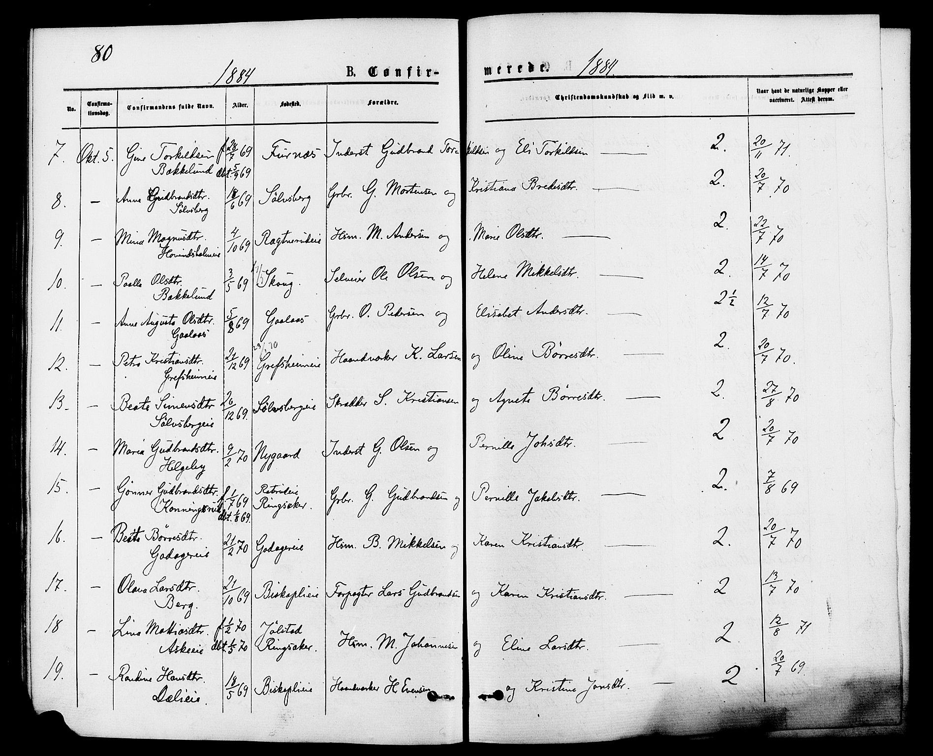 Nes prestekontor, Hedmark, AV/SAH-PREST-020/K/Ka/L0006: Parish register (official) no. 6, 1873-1886, p. 80