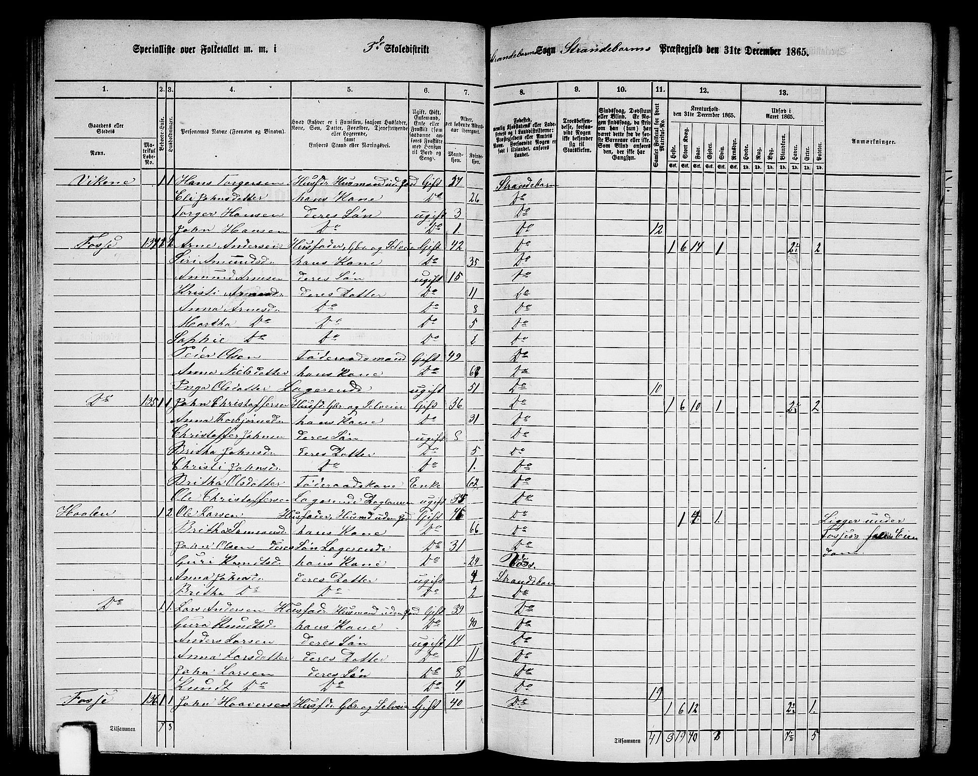 RA, 1865 census for Strandebarm, 1865, p. 82