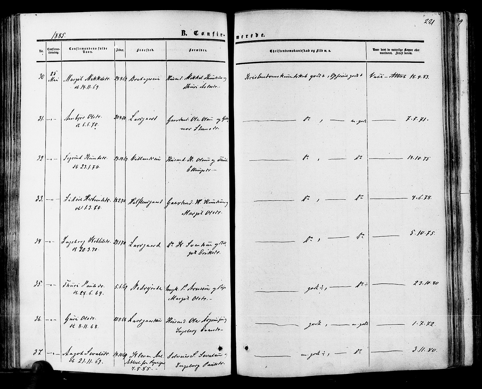 Hol kirkebøker, SAKO/A-227/F/Fa/L0002: Parish register (official) no. I 2, 1870-1886, p. 221