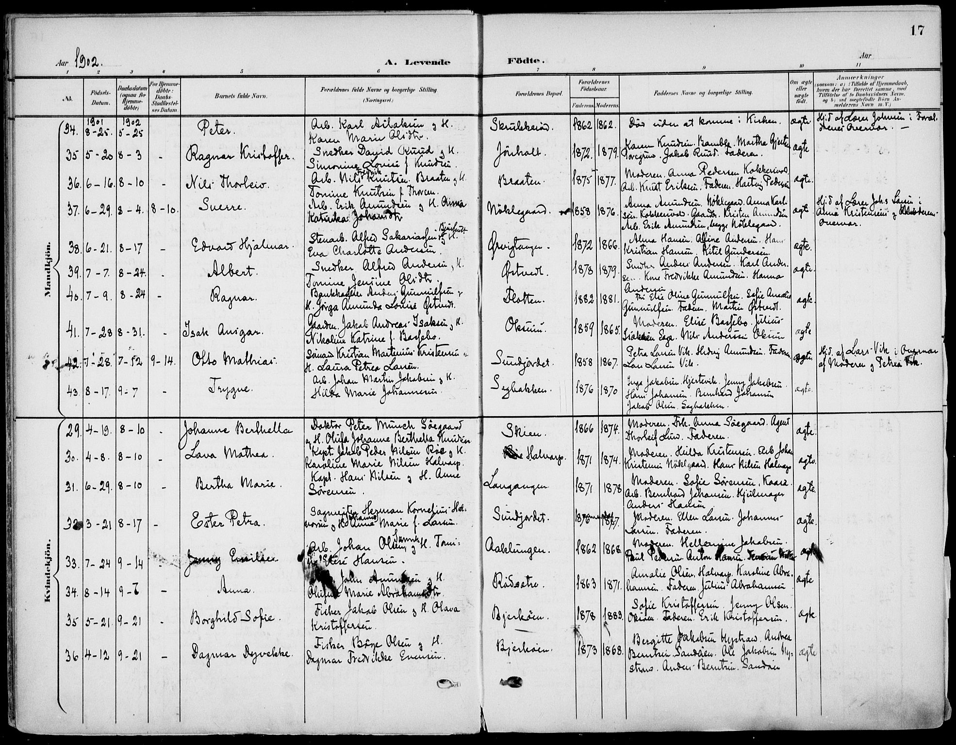 Eidanger kirkebøker, SAKO/A-261/F/Fa/L0013: Parish register (official) no. 13, 1900-1913, p. 17