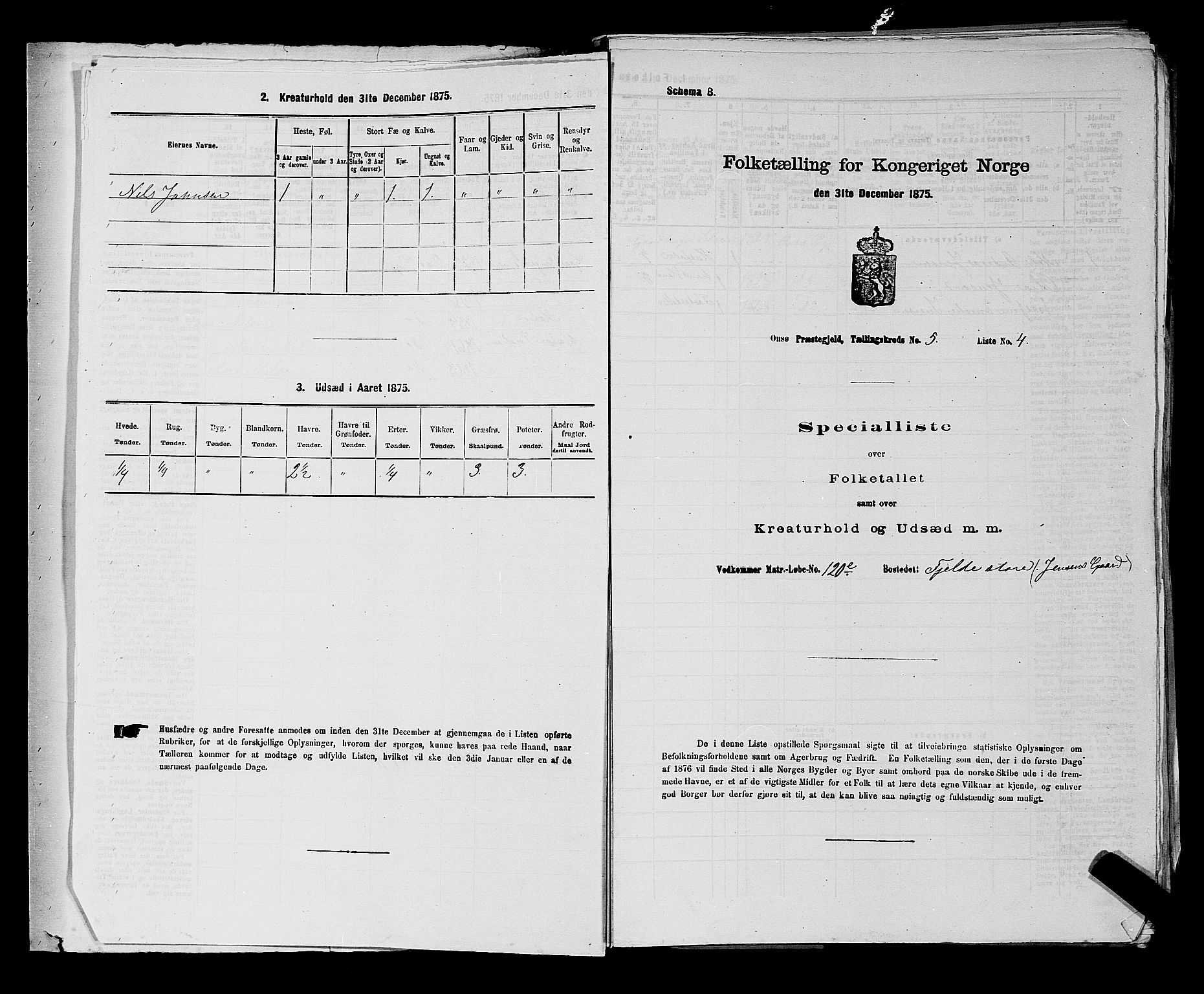 RA, 1875 census for 0134P Onsøy, 1875, p. 1003