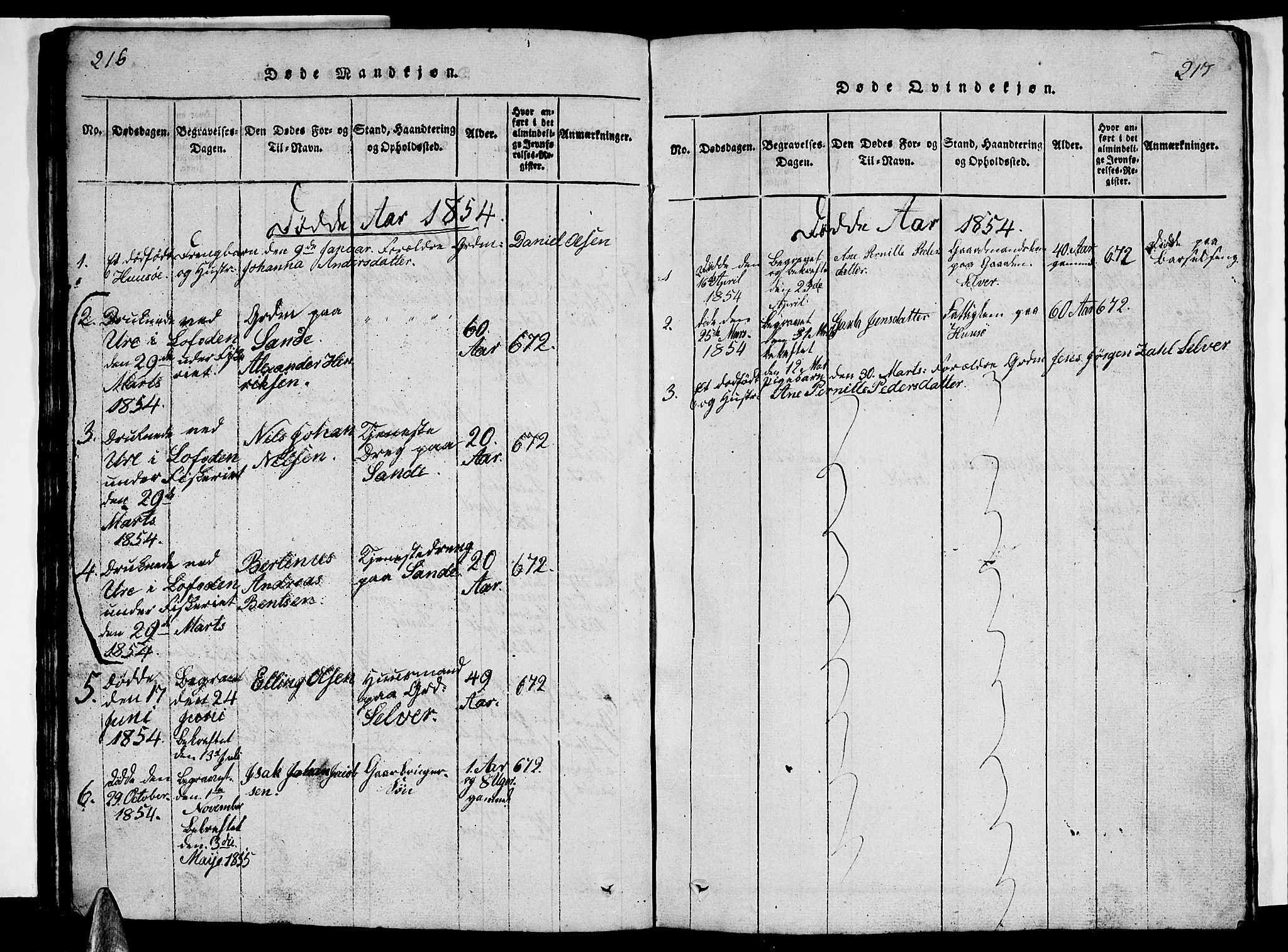 Ministerialprotokoller, klokkerbøker og fødselsregistre - Nordland, AV/SAT-A-1459/840/L0581: Parish register (copy) no. 840C01, 1820-1873, p. 216-217