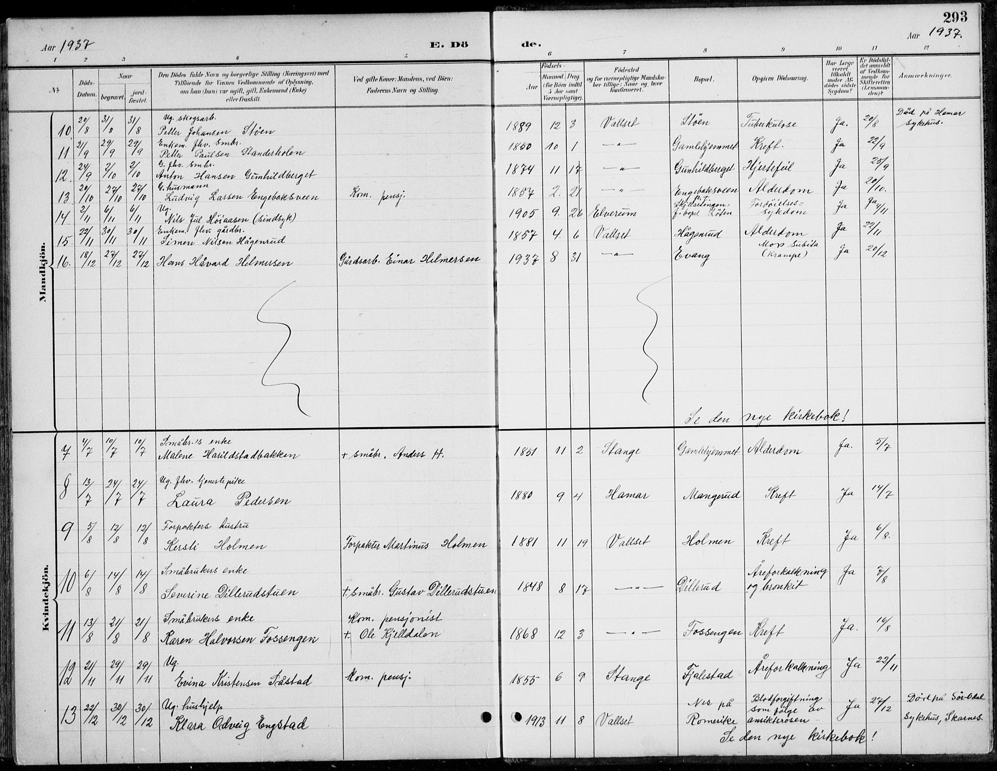 Romedal prestekontor, AV/SAH-PREST-004/L/L0013: Parish register (copy) no. 13, 1896-1937, p. 293