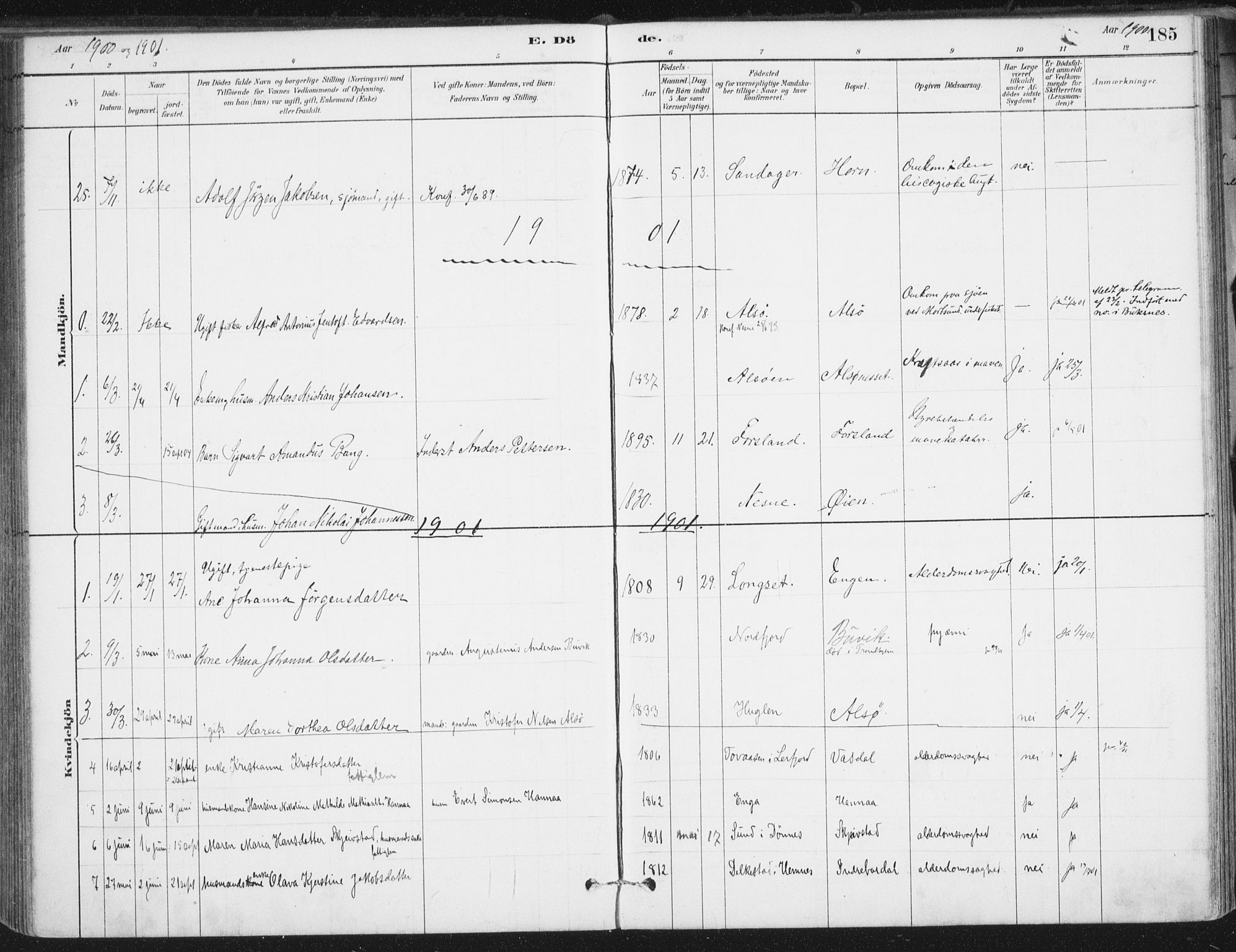 Ministerialprotokoller, klokkerbøker og fødselsregistre - Nordland, AV/SAT-A-1459/838/L0553: Parish register (official) no. 838A11, 1880-1910, p. 185