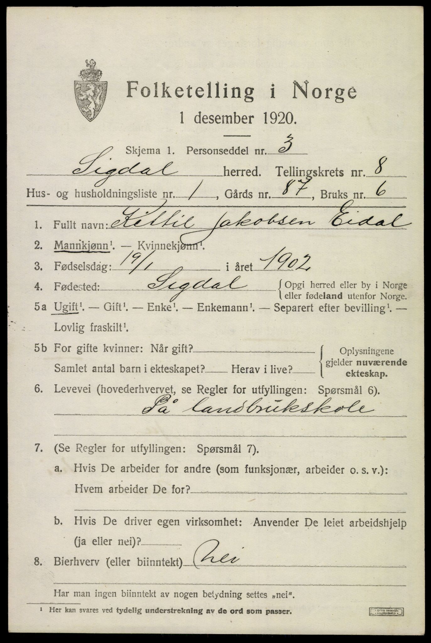 SAKO, 1920 census for Sigdal, 1920, p. 6000