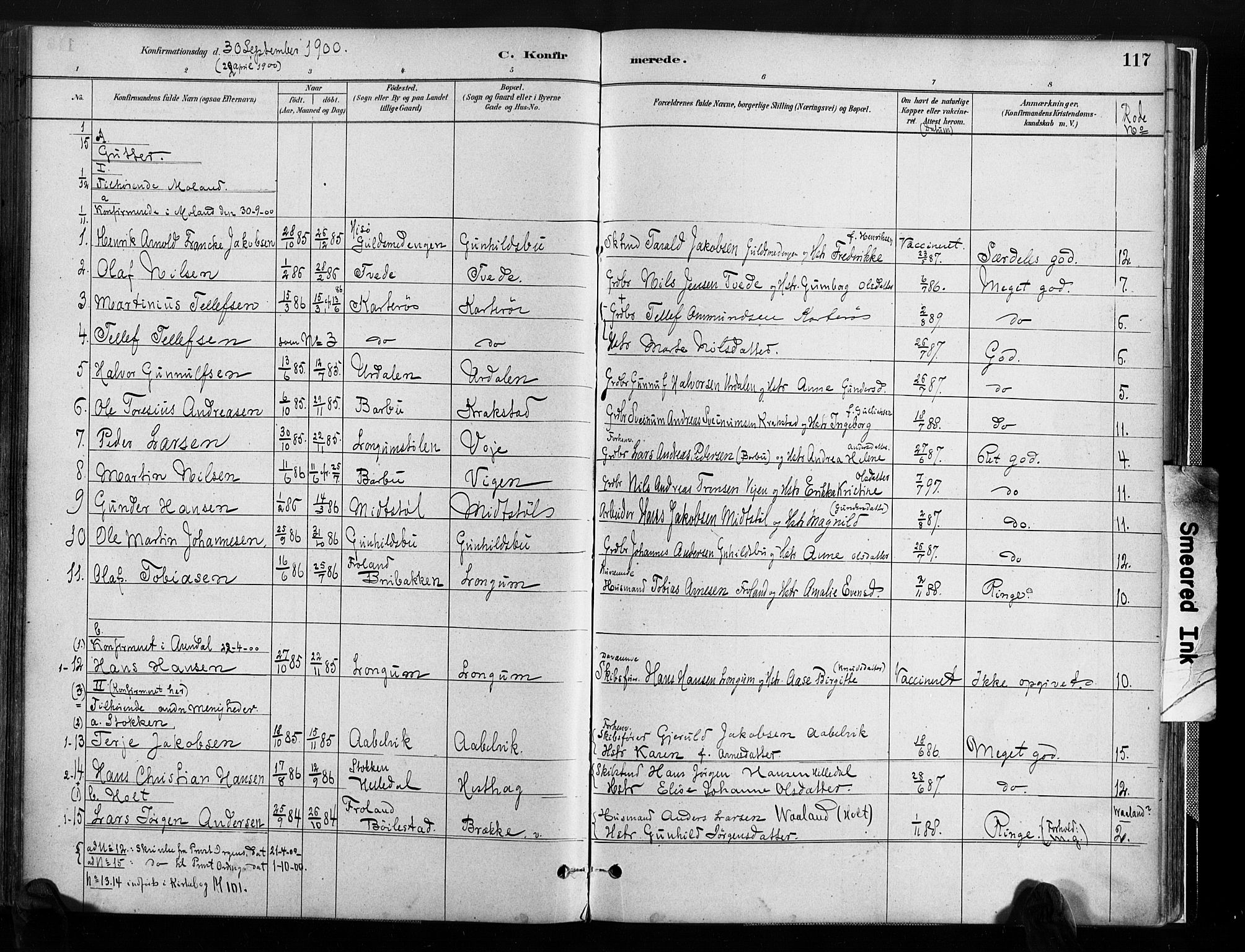 Austre Moland sokneprestkontor, SAK/1111-0001/F/Fa/Faa/L0010: Parish register (official) no. A 10, 1880-1904, p. 117