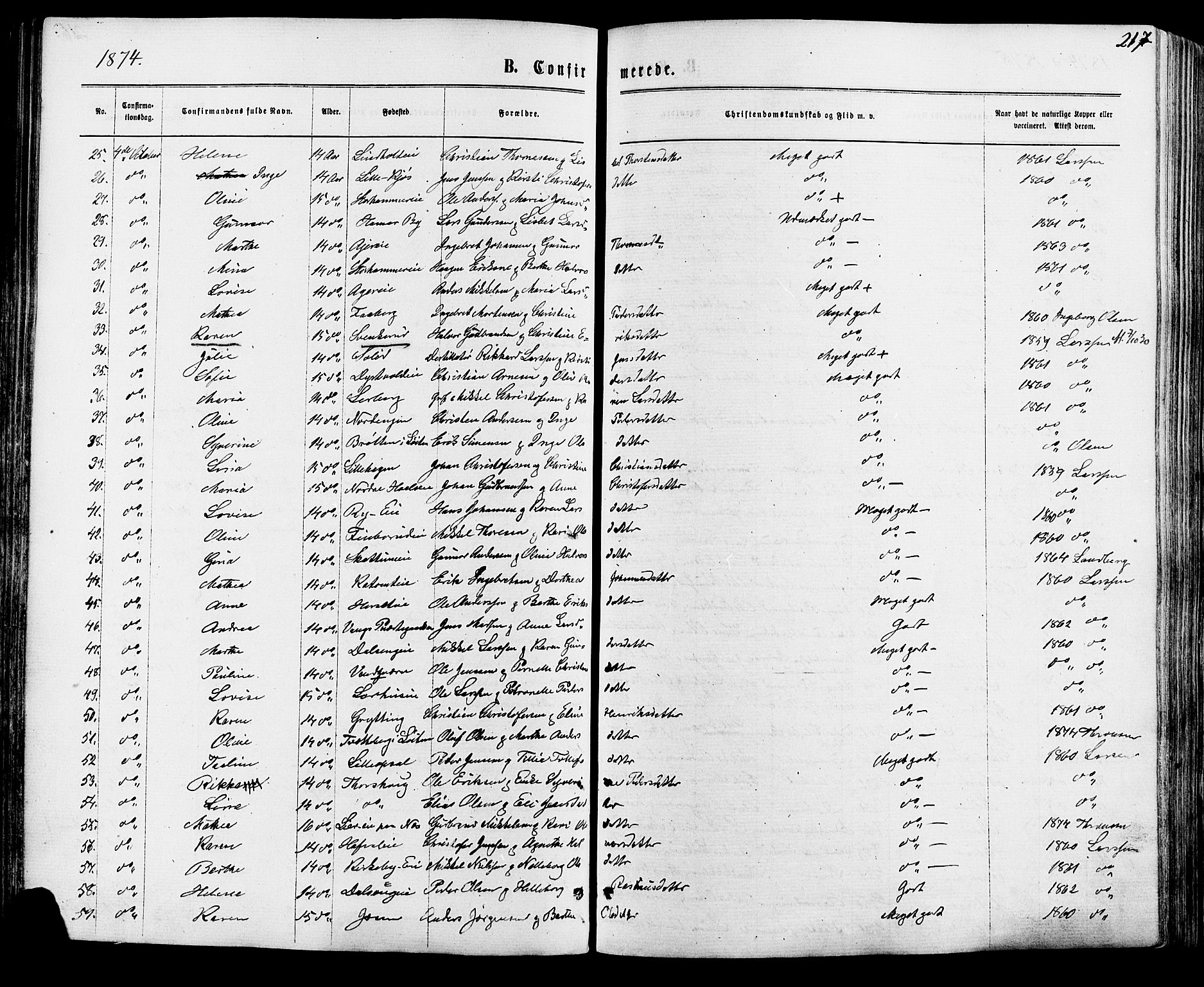 Vang prestekontor, Hedmark, AV/SAH-PREST-008/H/Ha/Haa/L0015: Parish register (official) no. 15, 1871-1885, p. 217