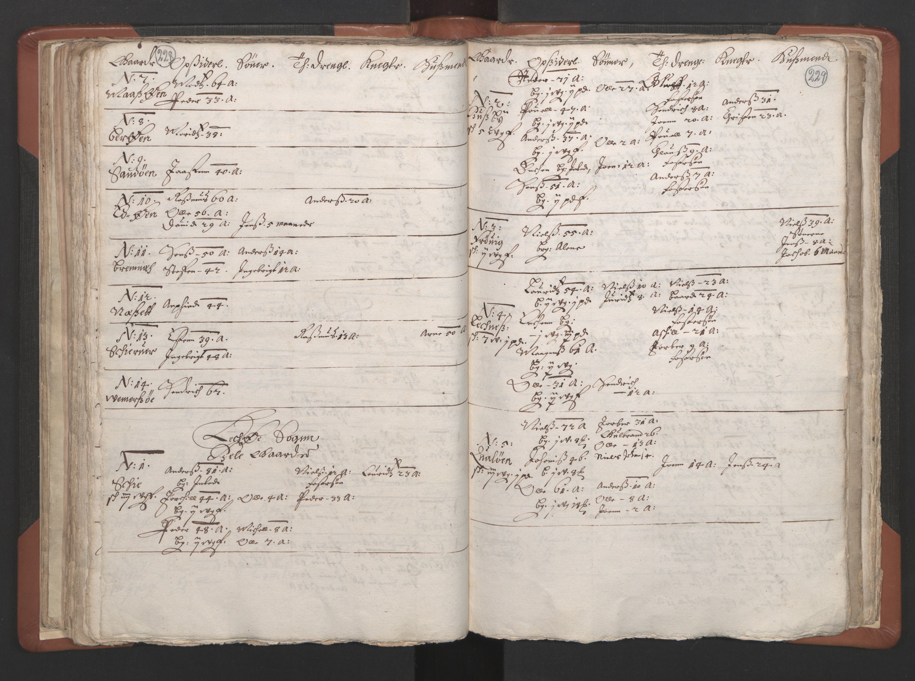 RA, Vicar's Census 1664-1666, no. 34: Namdal deanery, 1664-1666, p. 228-229