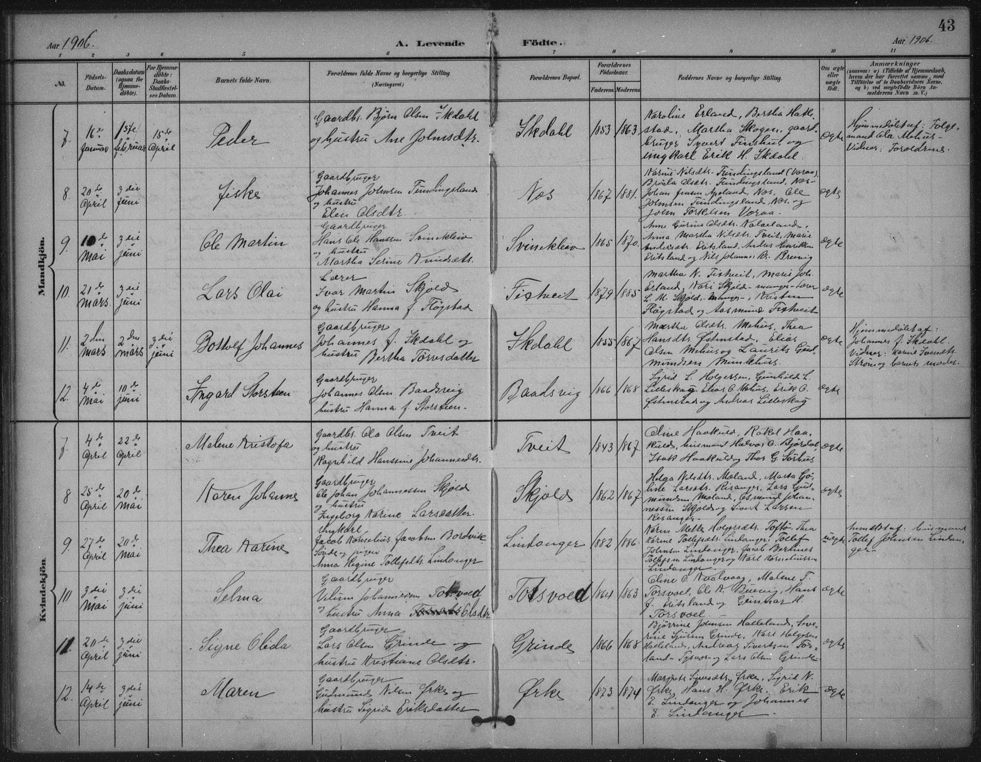 Skjold sokneprestkontor, SAST/A-101847/H/Ha/Haa/L0011: Parish register (official) no. A 11, 1897-1914, p. 43