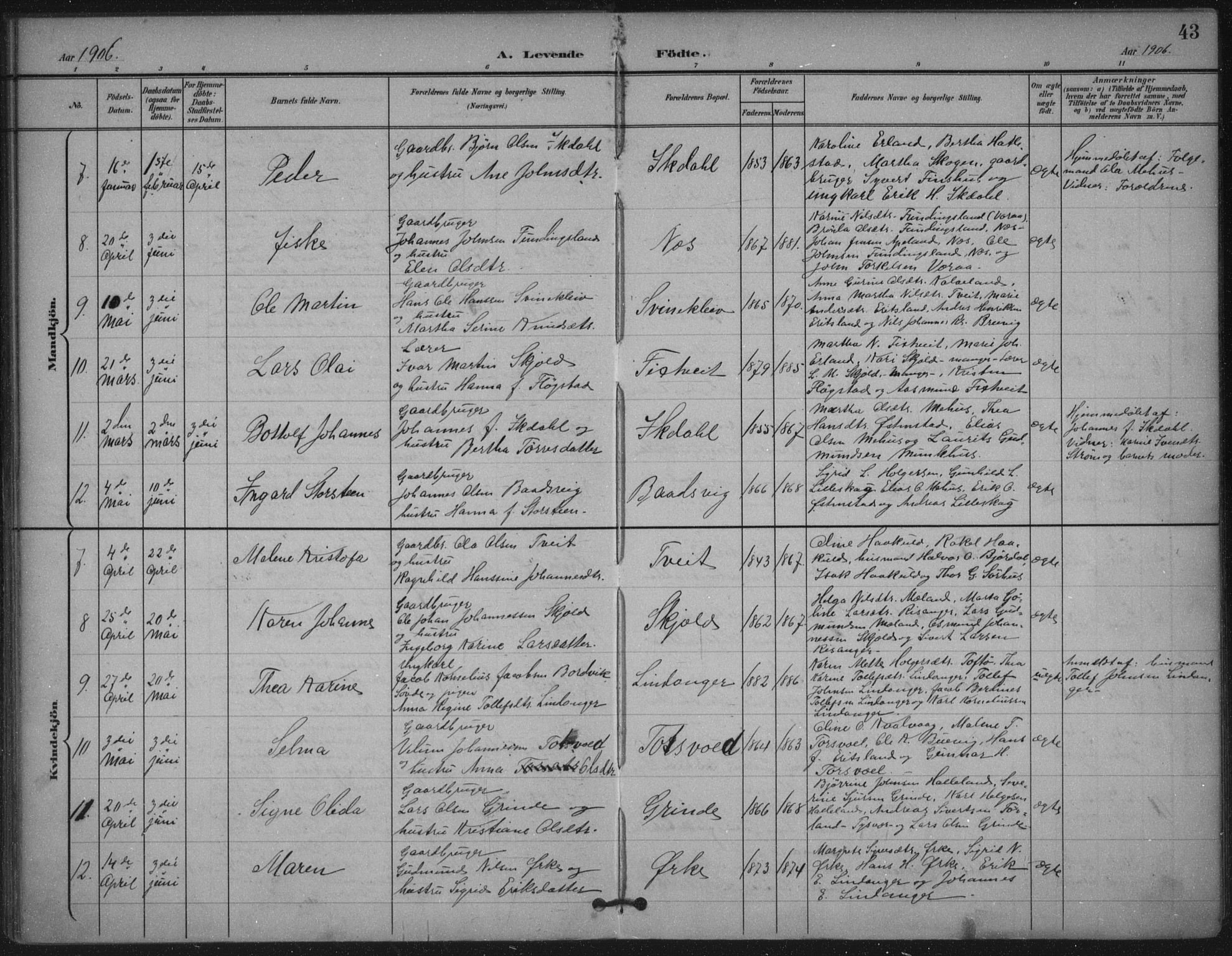 Skjold sokneprestkontor, AV/SAST-A-101847/H/Ha/Haa/L0011: Parish register (official) no. A 11, 1897-1914, p. 43