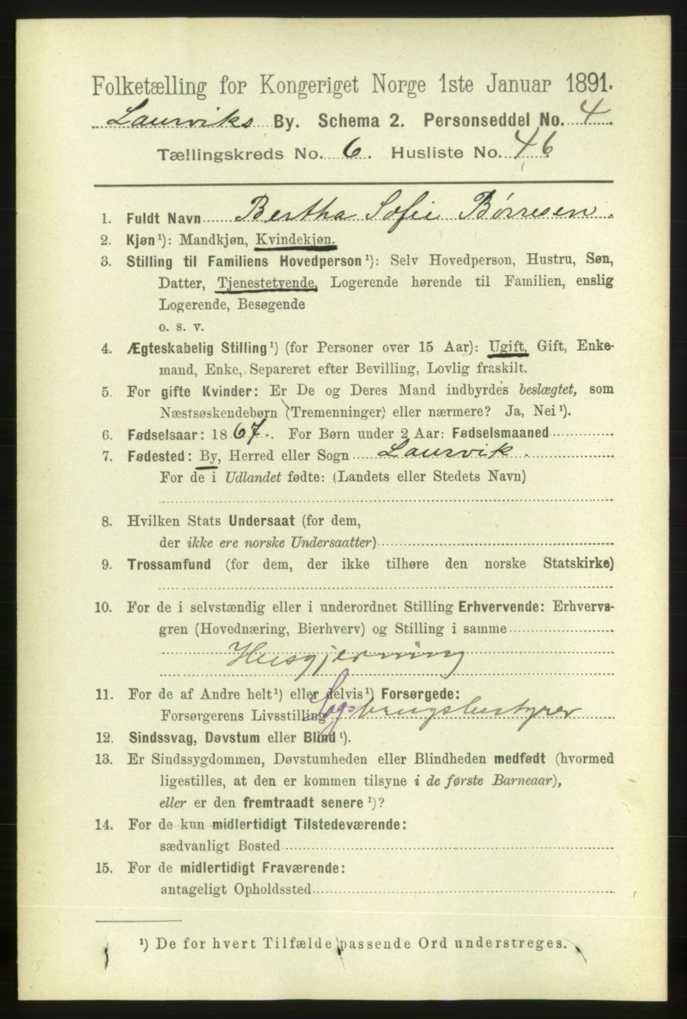 RA, 1891 census for 0707 Larvik, 1891, p. 7129