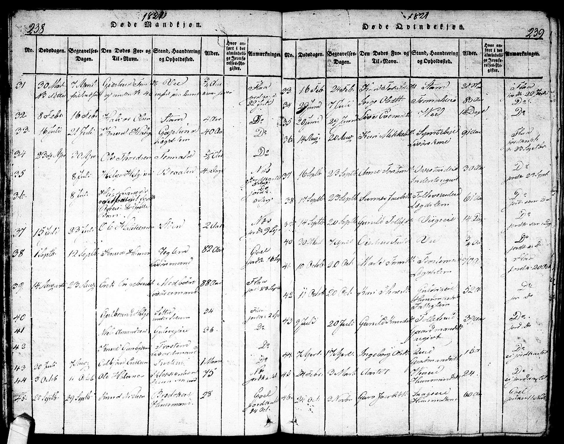 Nes kirkebøker, AV/SAKO-A-236/F/Fa/L0007: Parish register (official) no. 7, 1815-1823, p. 238-239