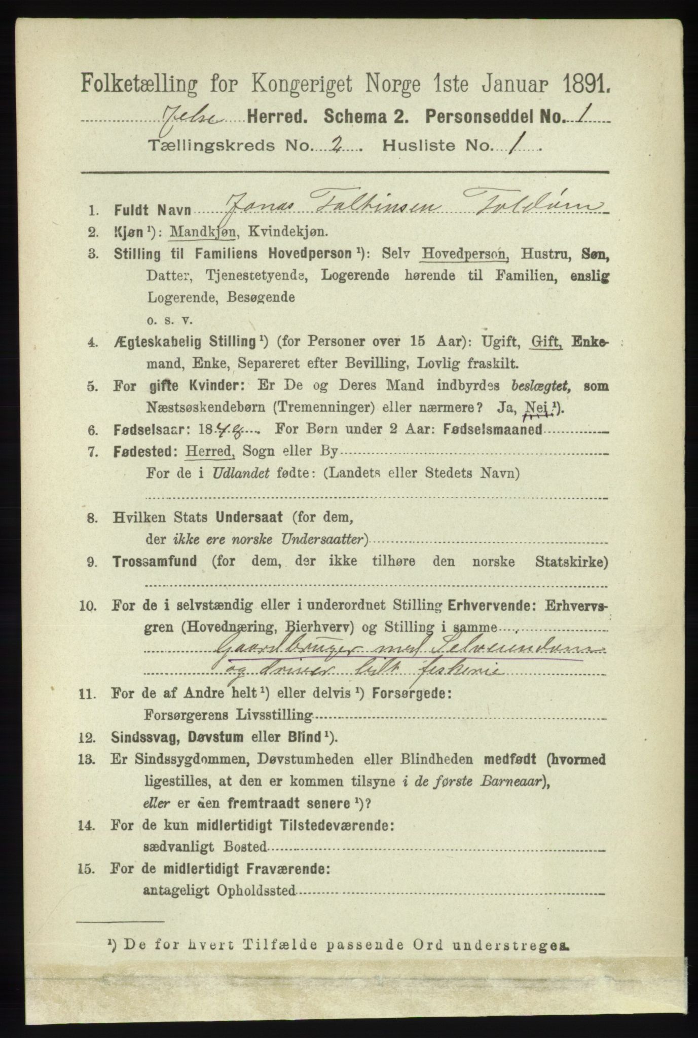 RA, 1891 census for 1138 Jelsa, 1891, p. 247