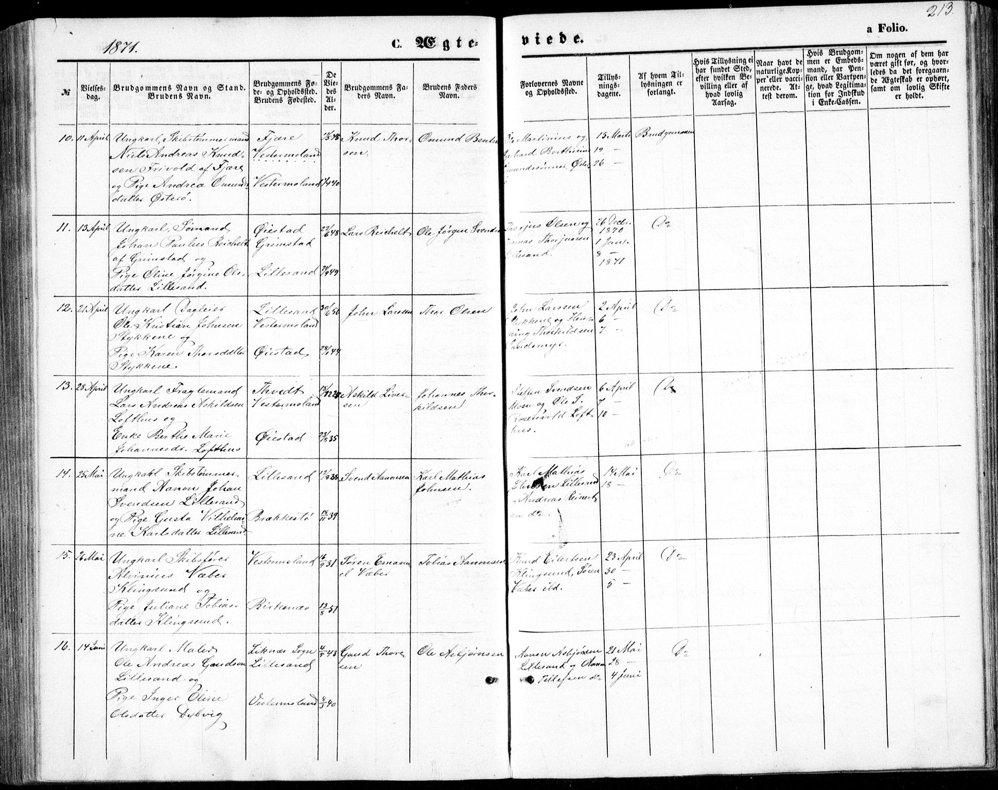 Vestre Moland sokneprestkontor, AV/SAK-1111-0046/F/Fb/Fbb/L0004: Parish register (copy) no. B 4, 1861-1872, p. 213