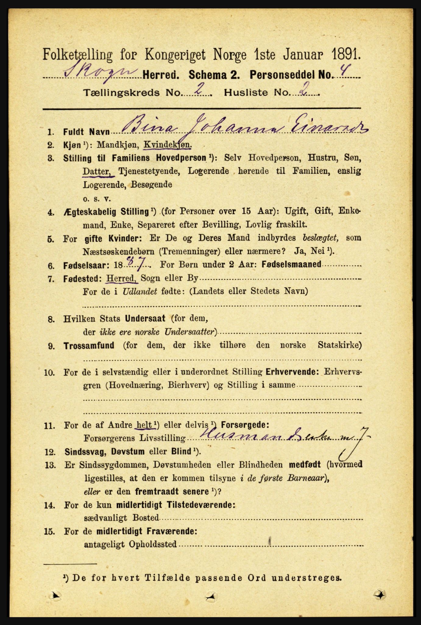 RA, 1891 census for 1719 Skogn, 1891, p. 984