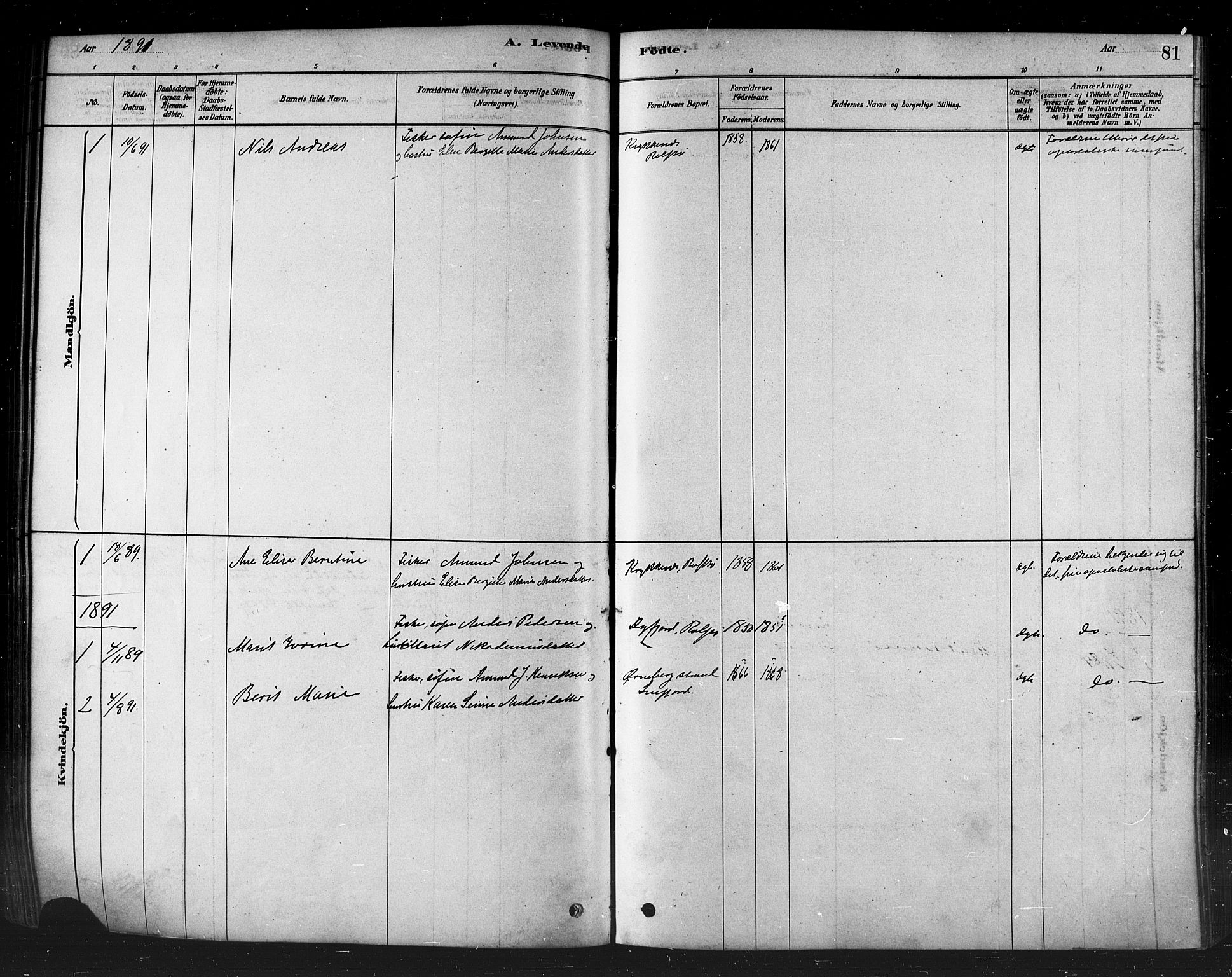 Måsøy sokneprestkontor, SATØ/S-1348/H/Ha/L0004kirke: Parish register (official) no. 4, 1878-1891, p. 81
