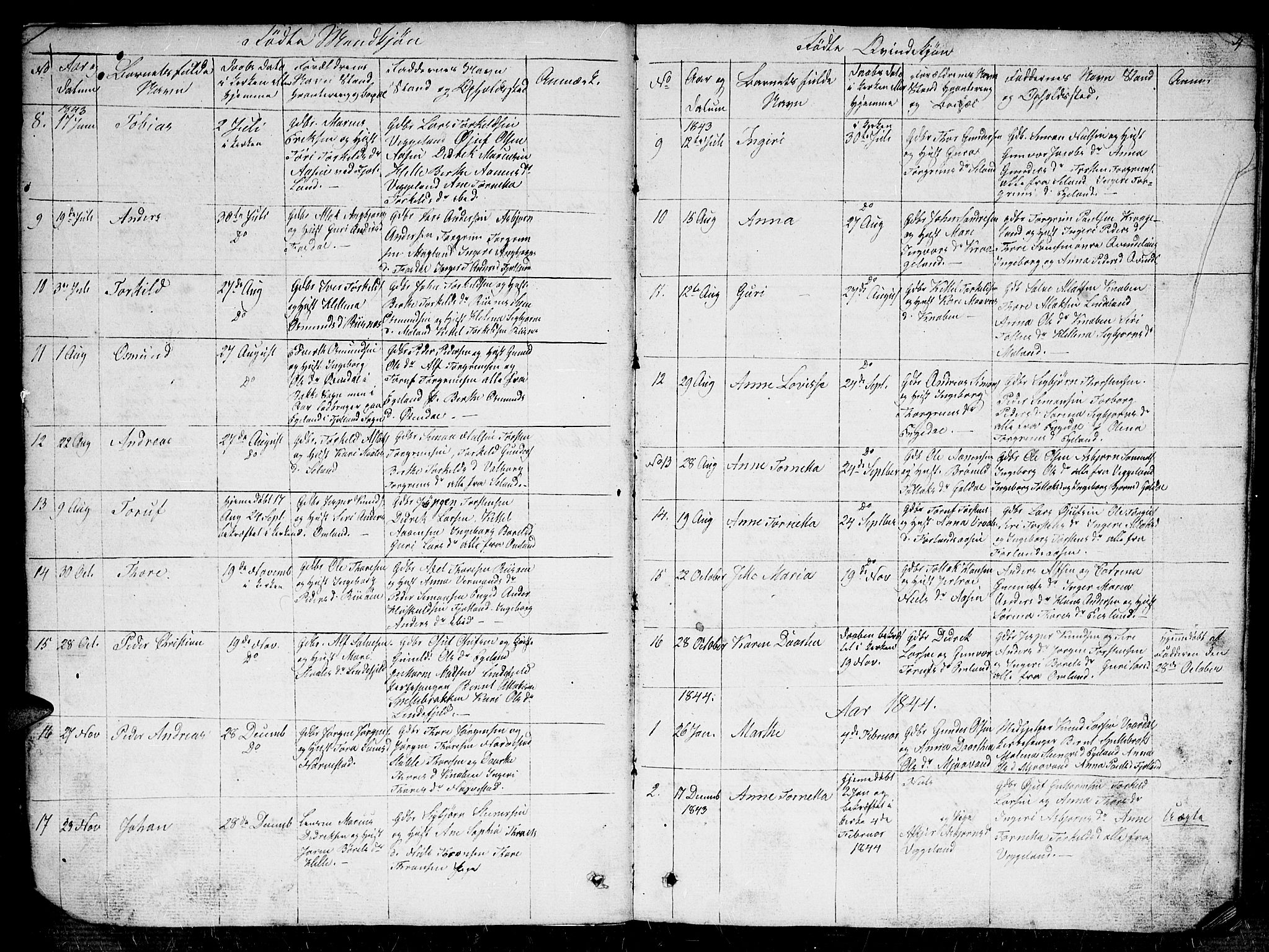 Fjotland sokneprestkontor, SAK/1111-0010/F/Fb/L0002: Parish register (copy) no. B 2, 1841-1871, p. 4