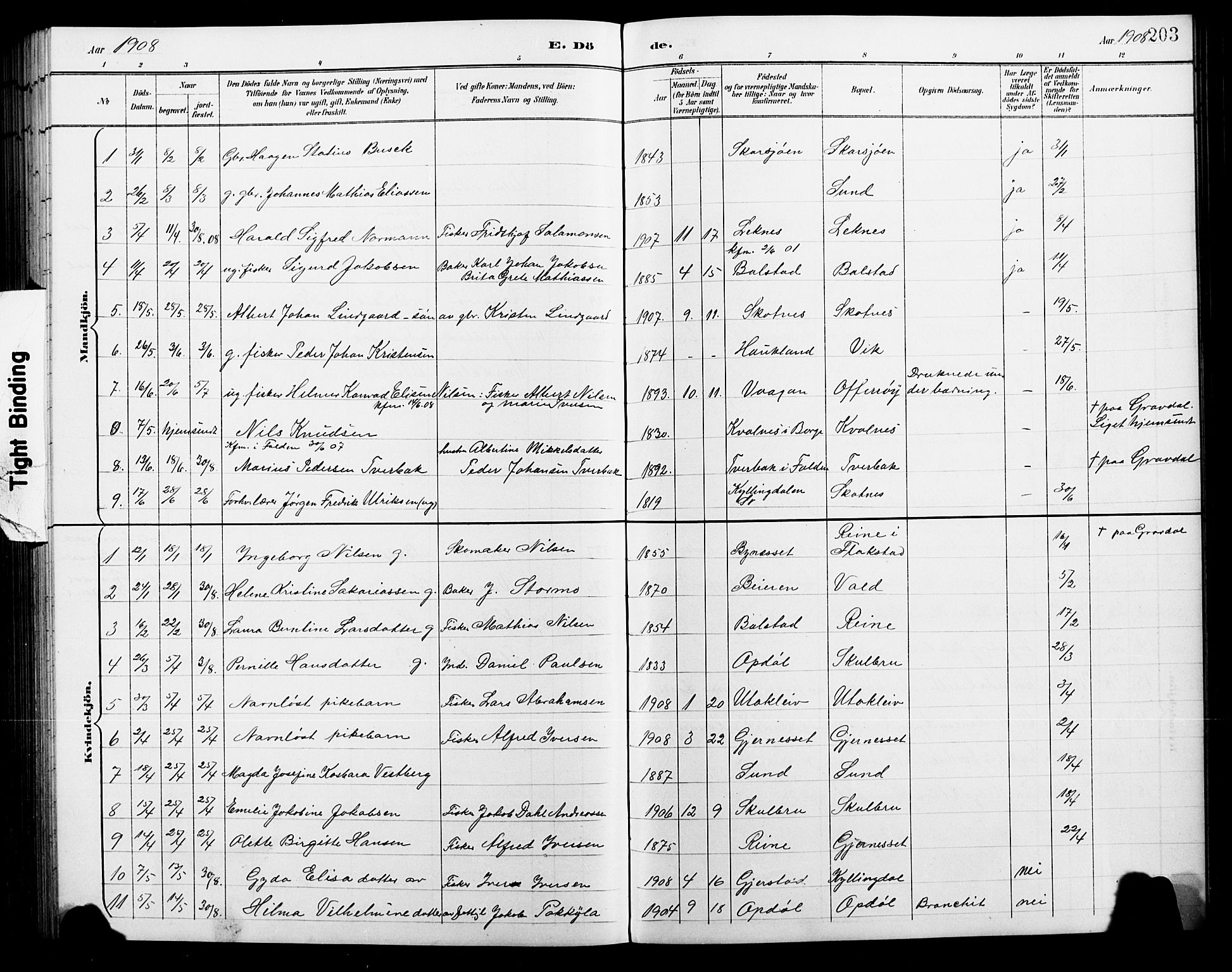 Ministerialprotokoller, klokkerbøker og fødselsregistre - Nordland, AV/SAT-A-1459/881/L1168: Parish register (copy) no. 881C05, 1900-1911, p. 203