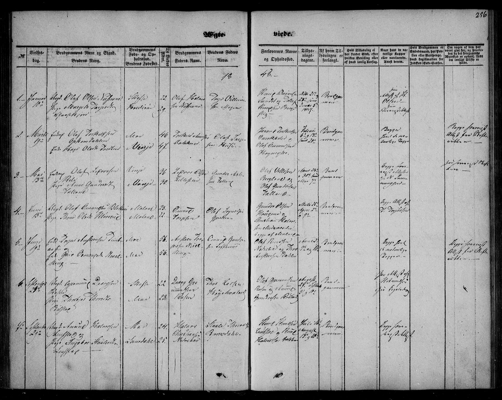 Mo kirkebøker, SAKO/A-286/F/Fa/L0005: Parish register (official) no. I 5, 1844-1864, p. 256