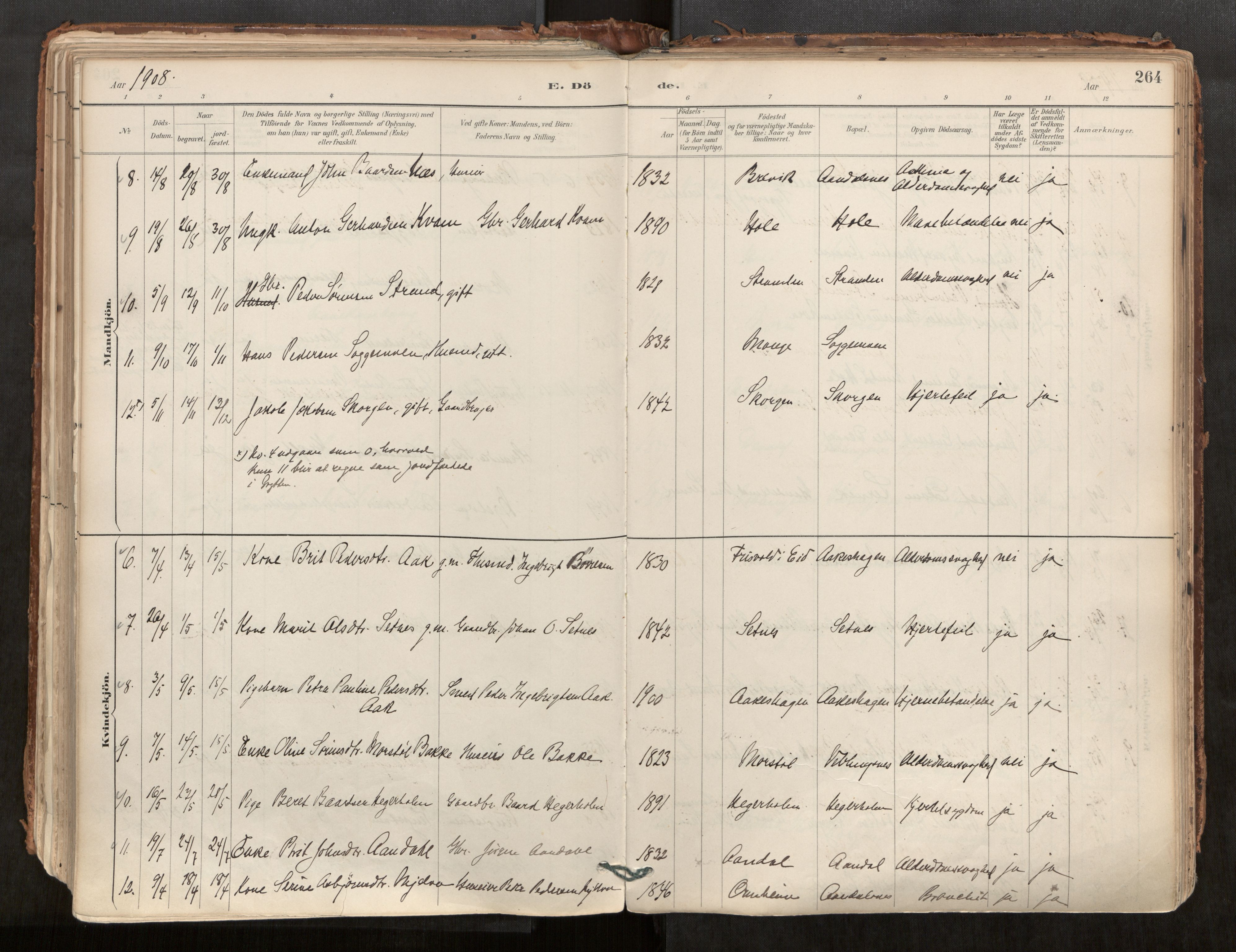 Ministerialprotokoller, klokkerbøker og fødselsregistre - Møre og Romsdal, AV/SAT-A-1454/544/L0585: Parish register (official) no. 544A06, 1887-1924, p. 264