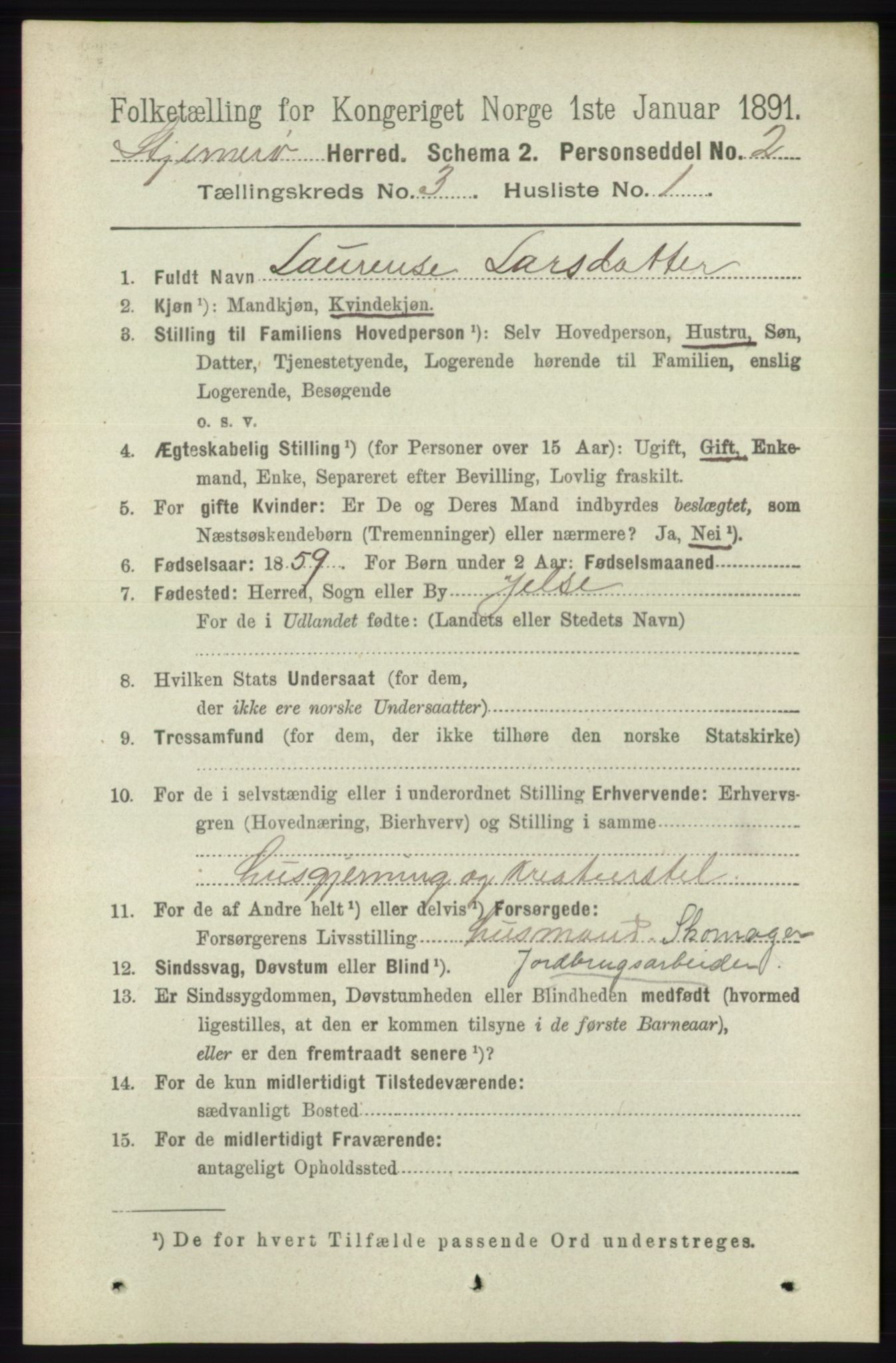 RA, 1891 census for 1140 Sjernarøy, 1891, p. 393