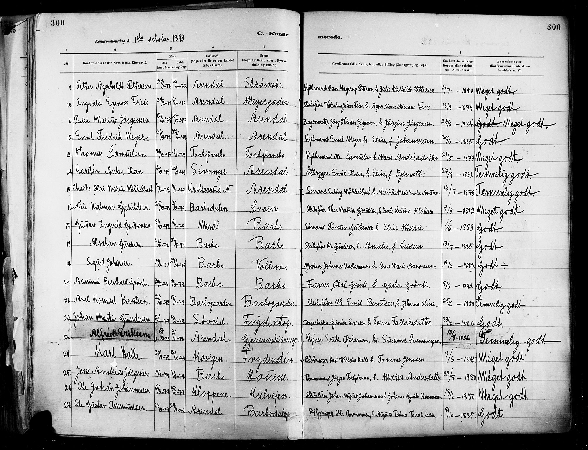 Barbu sokneprestkontor, SAK/1111-0003/F/Fa/L0002: Parish register (official) no. A 2, 1883-1898, p. 300