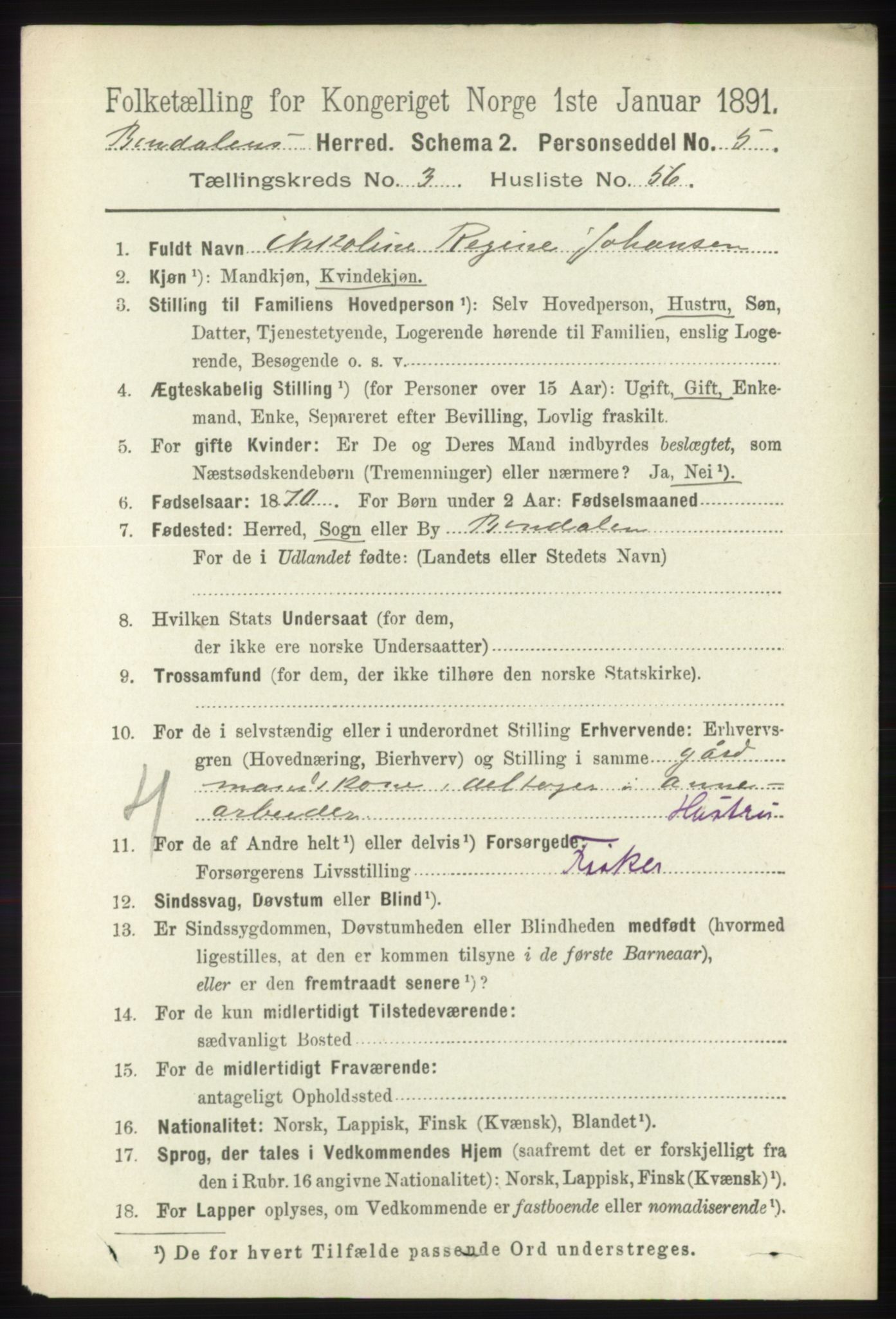 RA, 1891 census for 1811 Bindal, 1891, p. 981