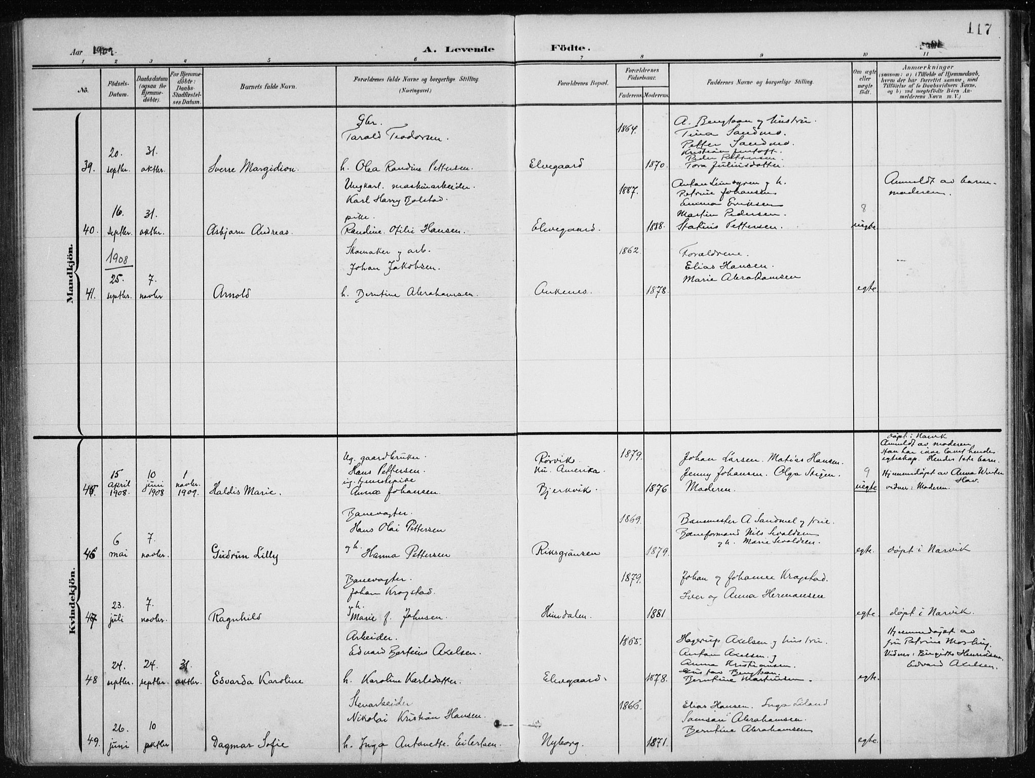 Ministerialprotokoller, klokkerbøker og fødselsregistre - Nordland, AV/SAT-A-1459/866/L0941: Parish register (official) no. 866A04, 1901-1917, p. 117